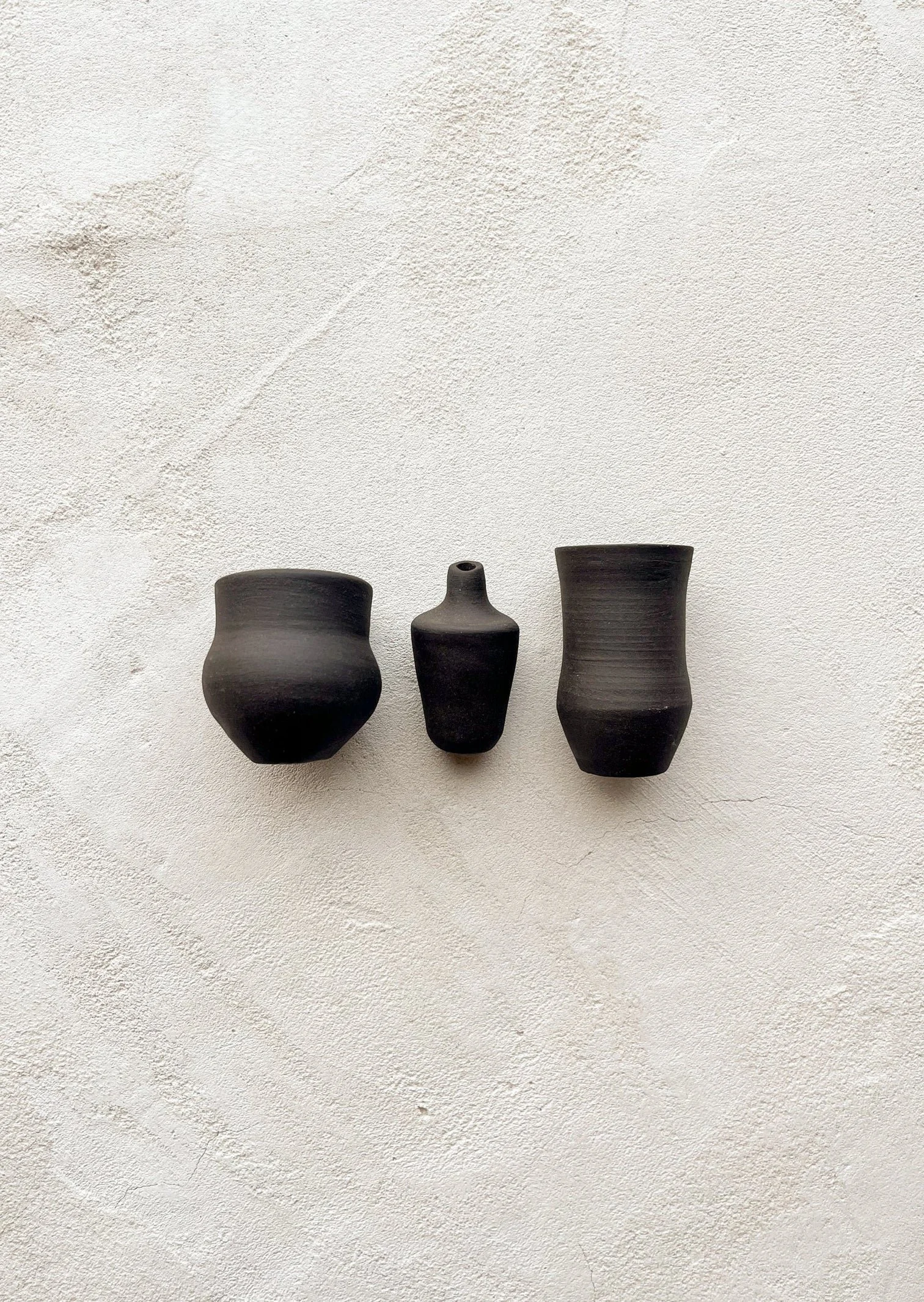 6. Sarah Scheer Art x Curio