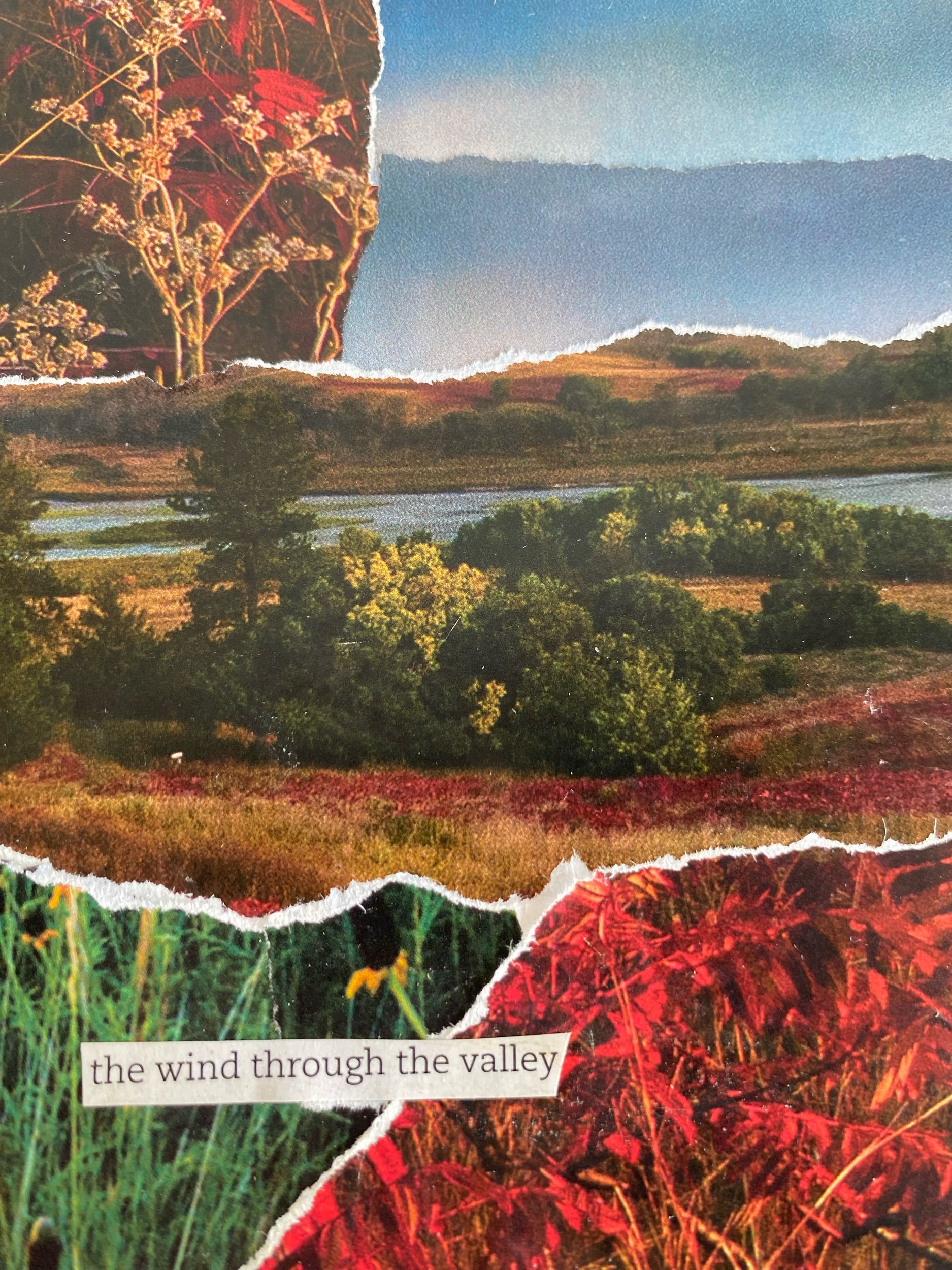 039/100: "The Wind through the Valley" Original Collage by Kate Laing, Lionheart Canyon Studio