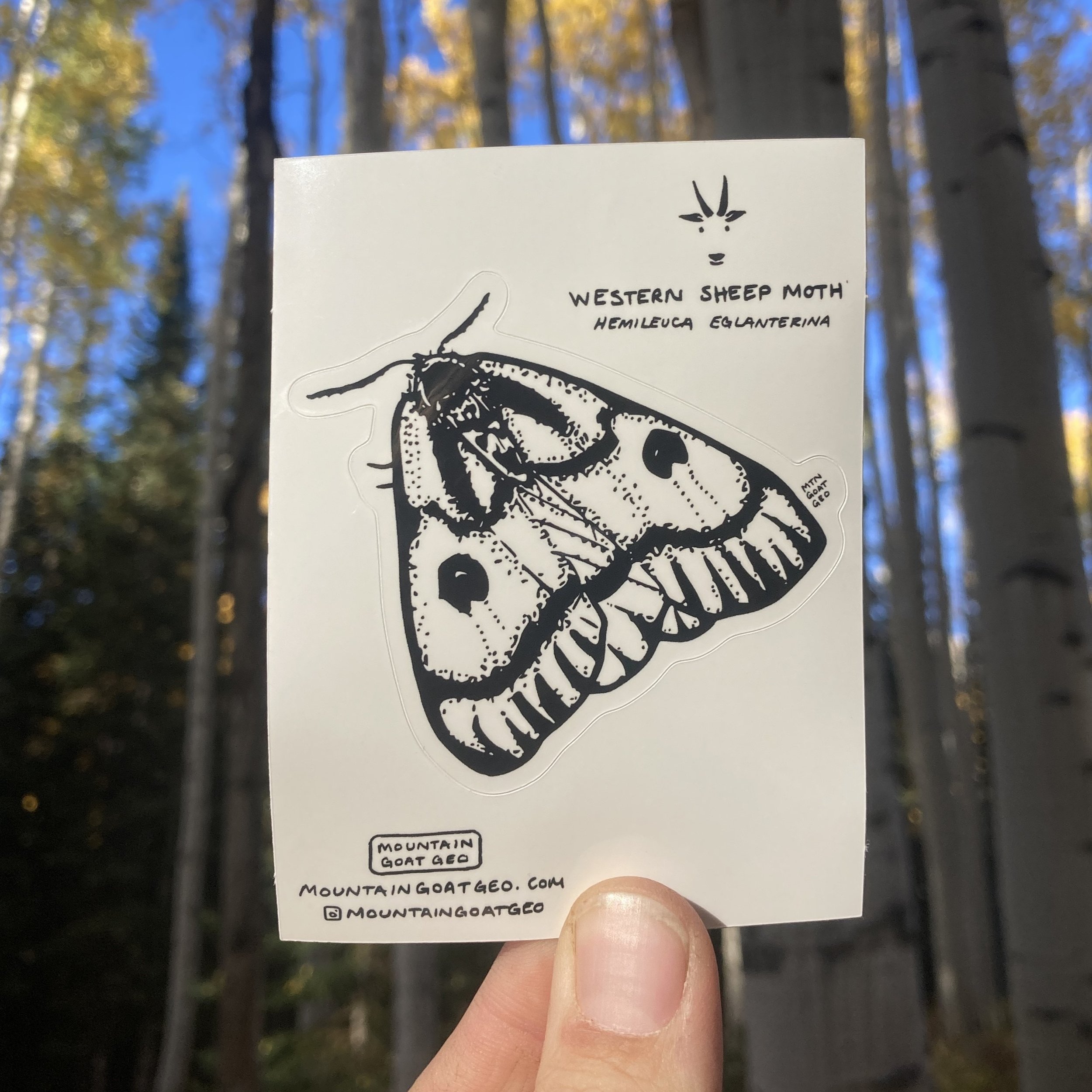 3. Mountain Goat Geo