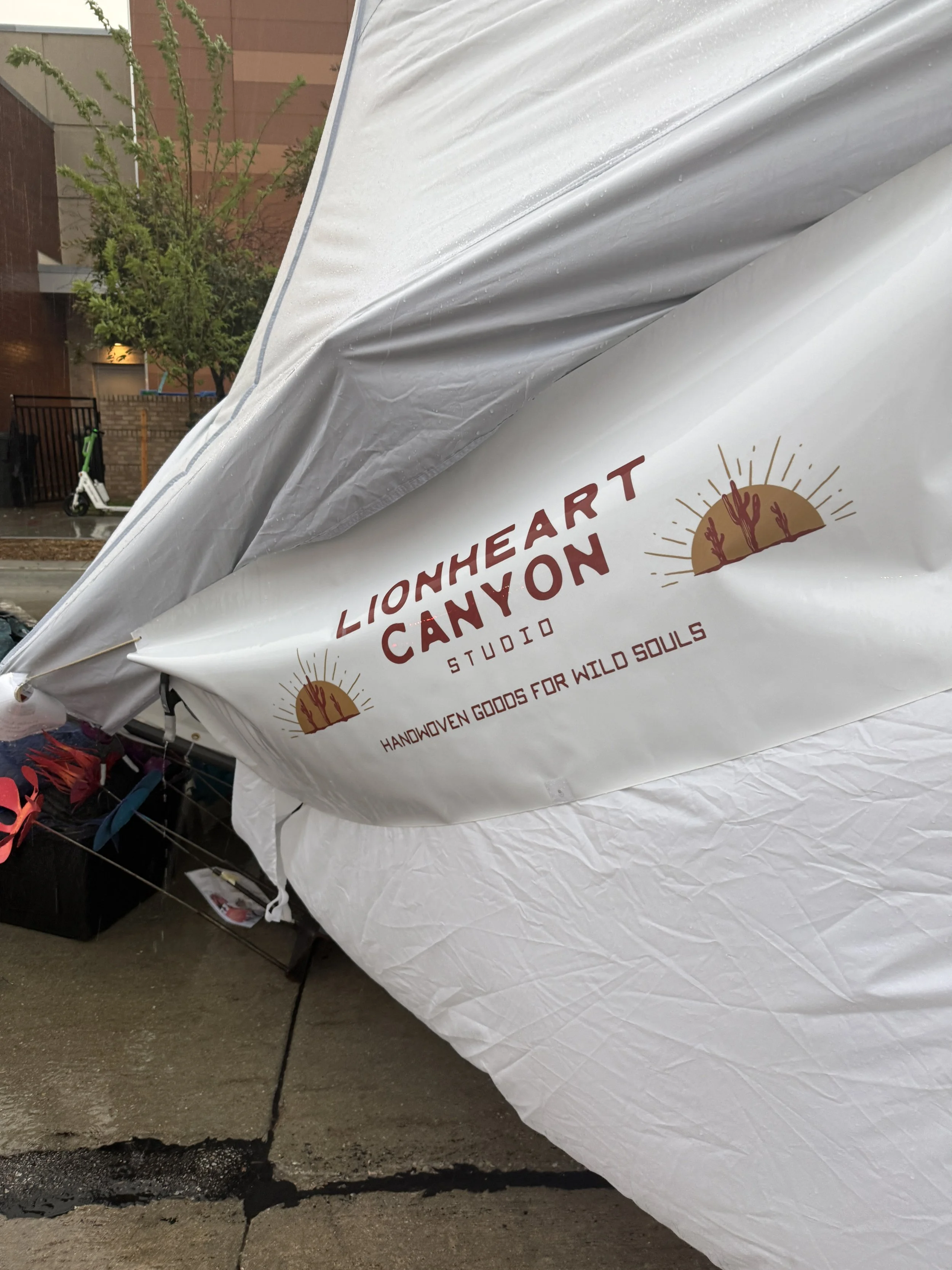 After the Storm: Omaha Art Fair, 2026
