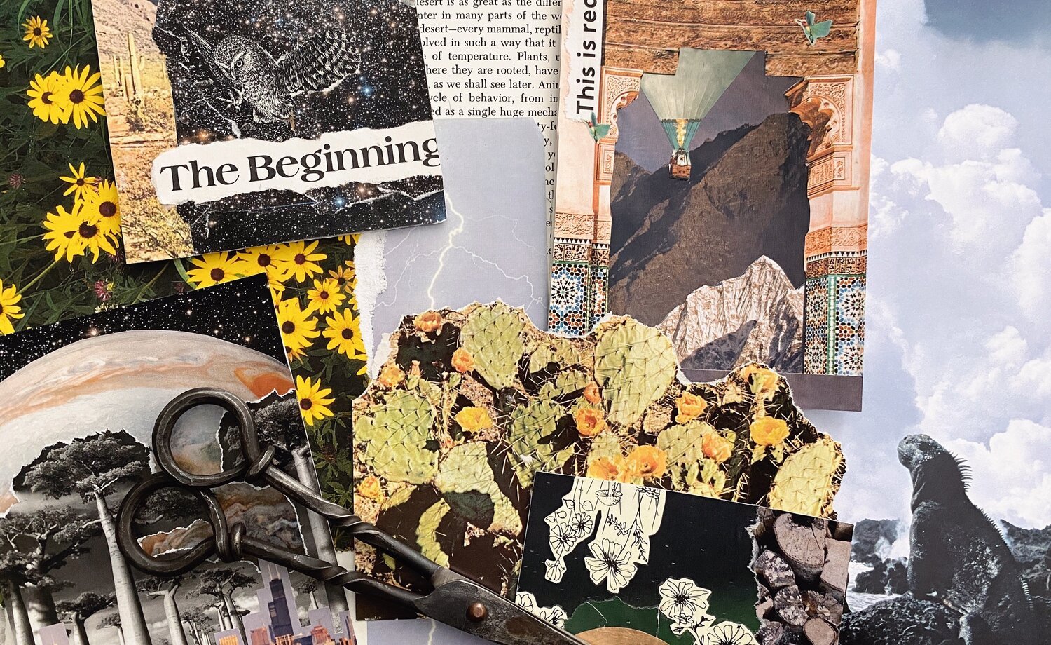 100 Days of Collage Project by Kate Laing, Lionheart Canyon Studio