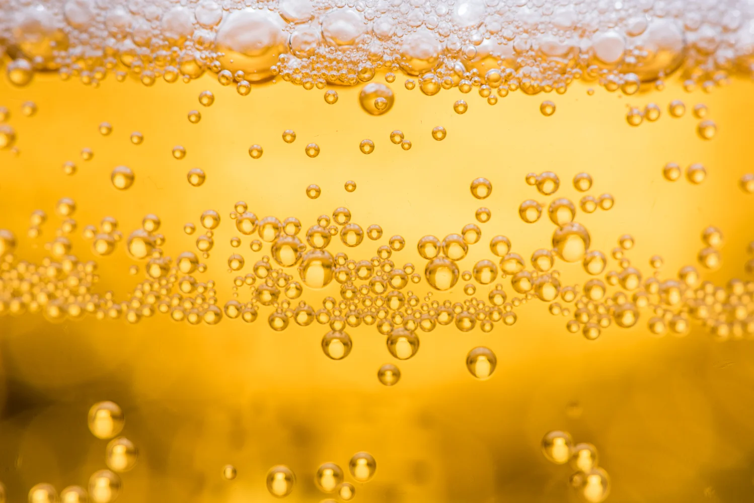 Macro Lens play, Beer backlit in Studio