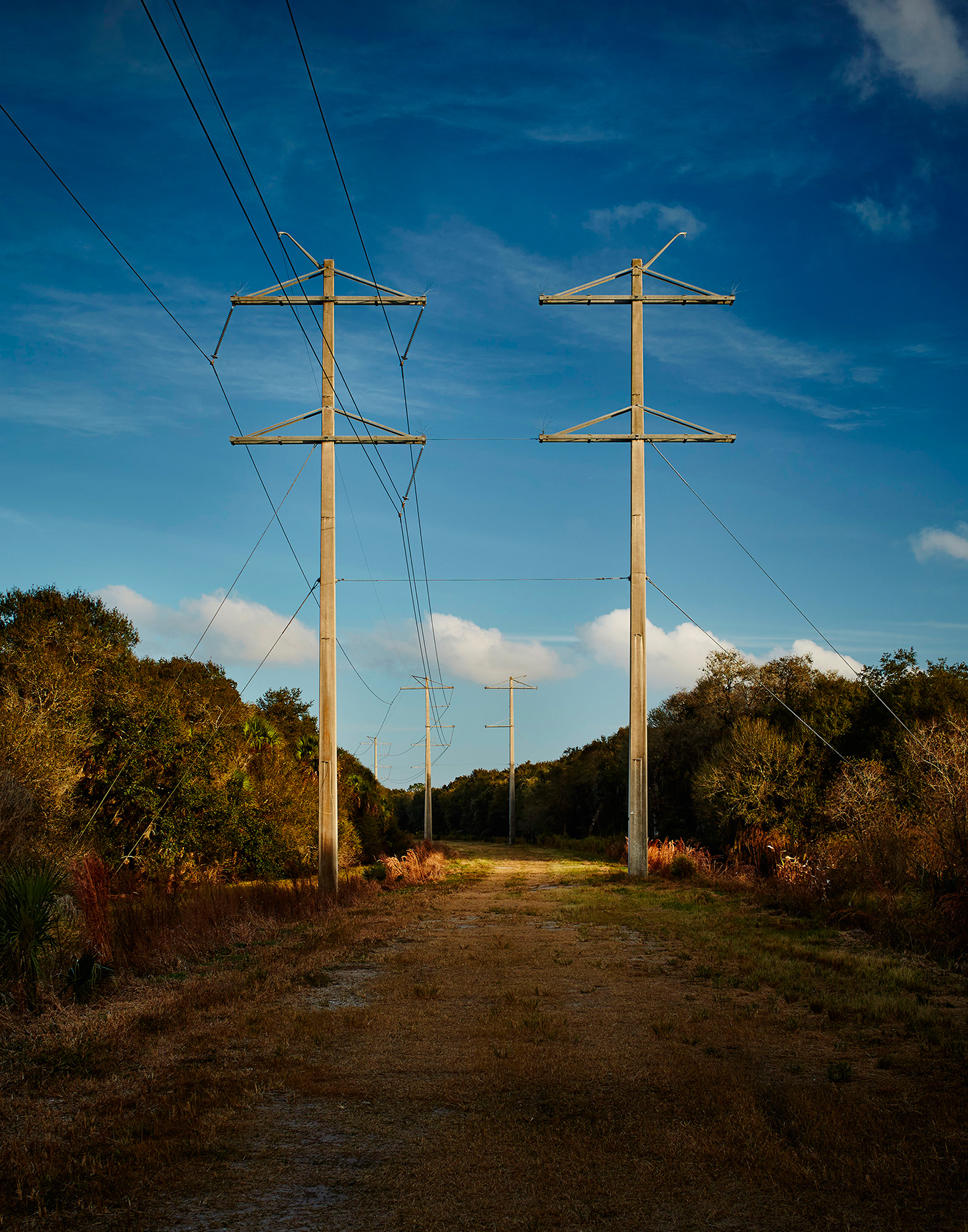 PowerLines.jpg