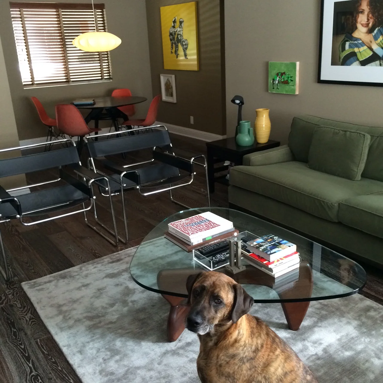 Michael's cool living room and adorable dog Roman, named after his favorite director, Roman Polanski.