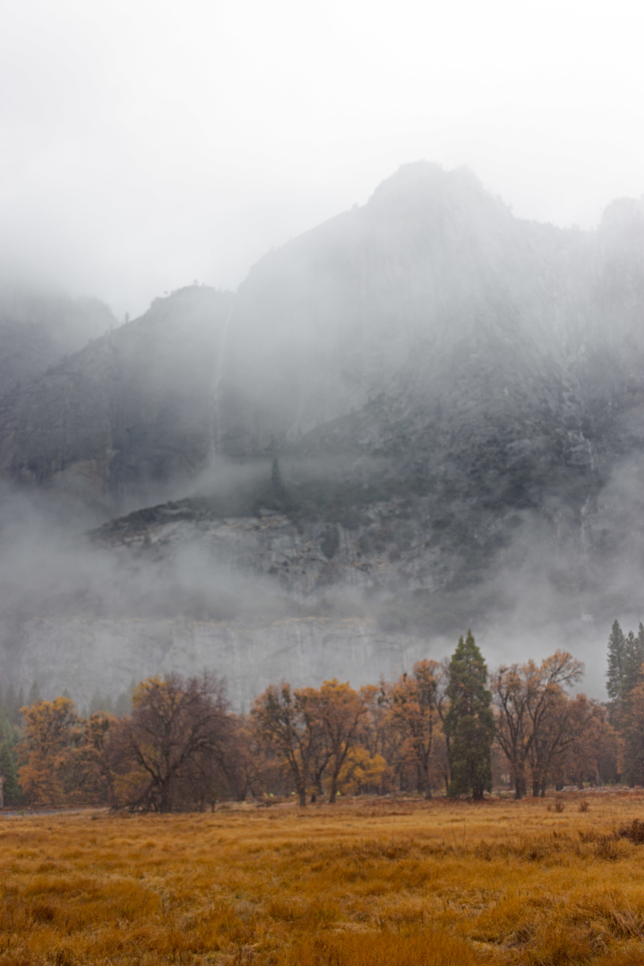 IMG_7917-Edit.jpg