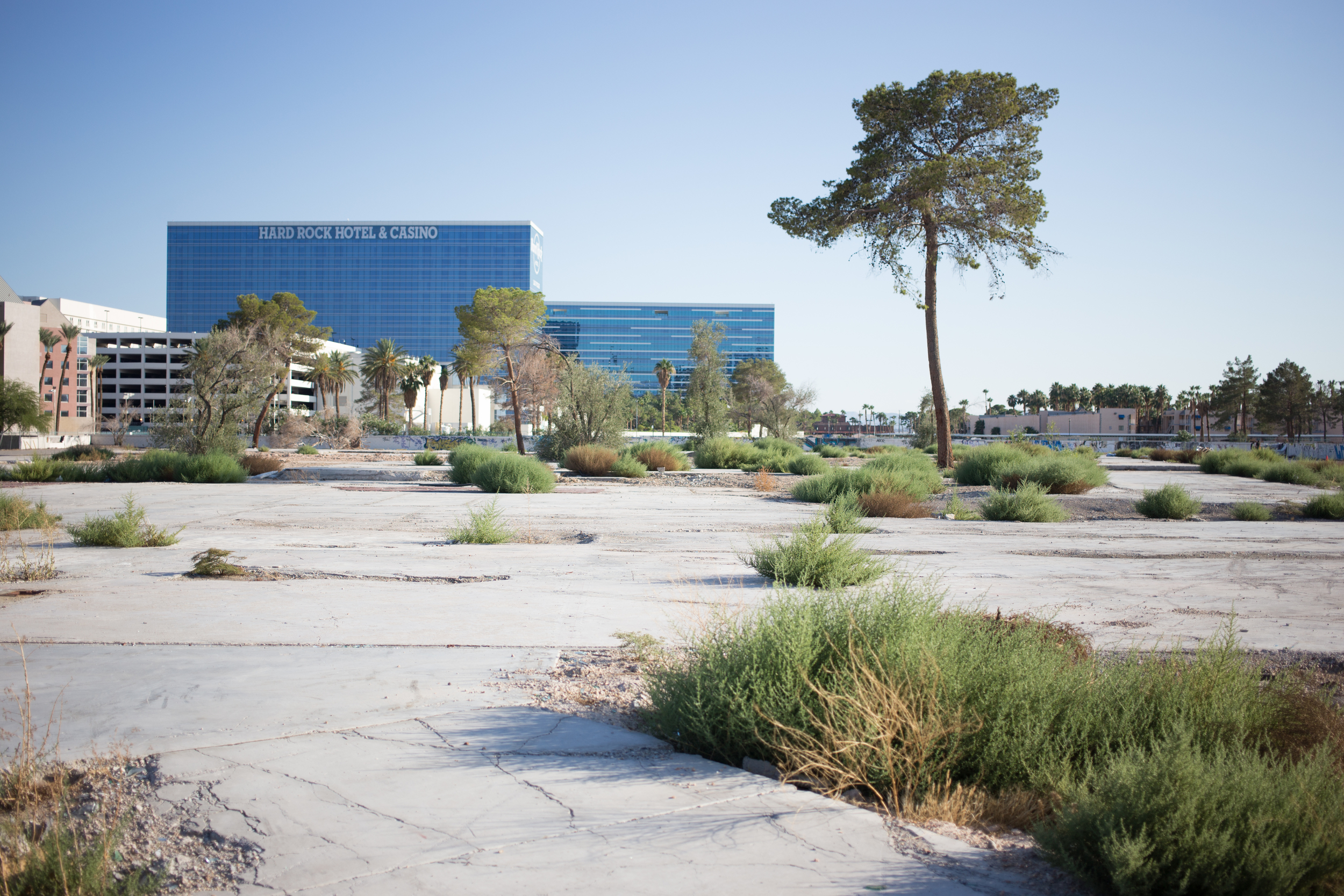 Lost Vegas