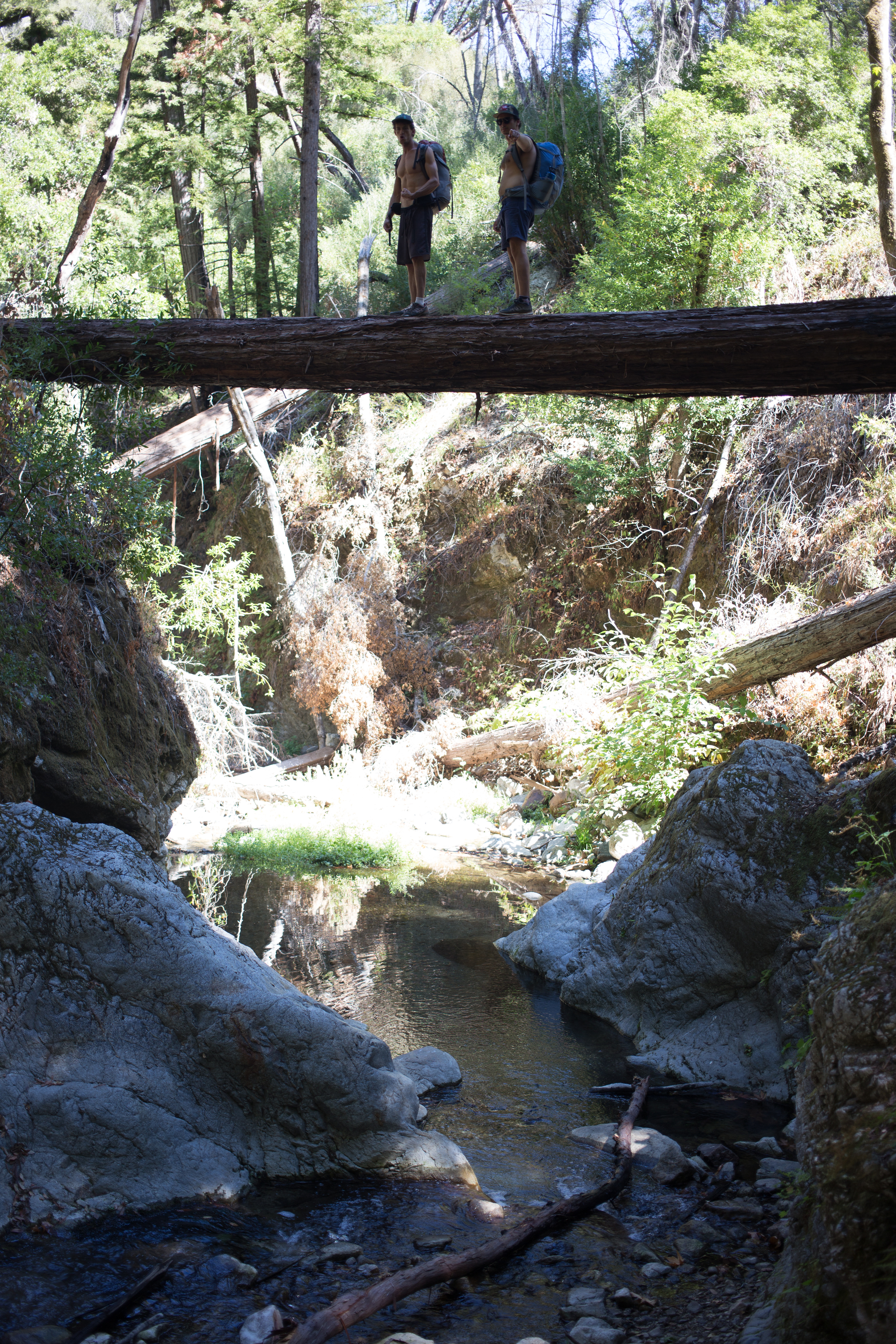 Big Sur Backpacking