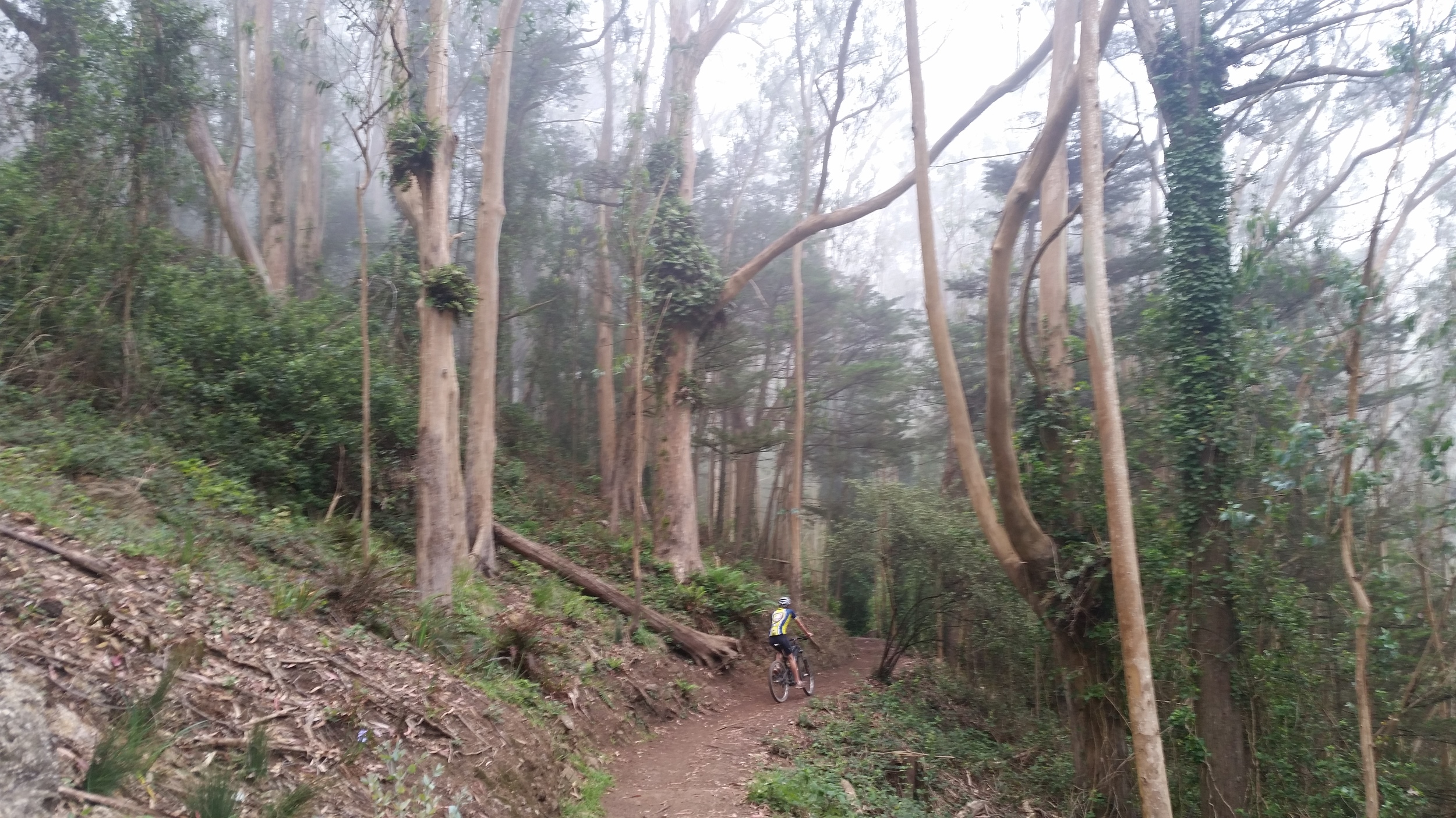 Onto the Fairy Gates