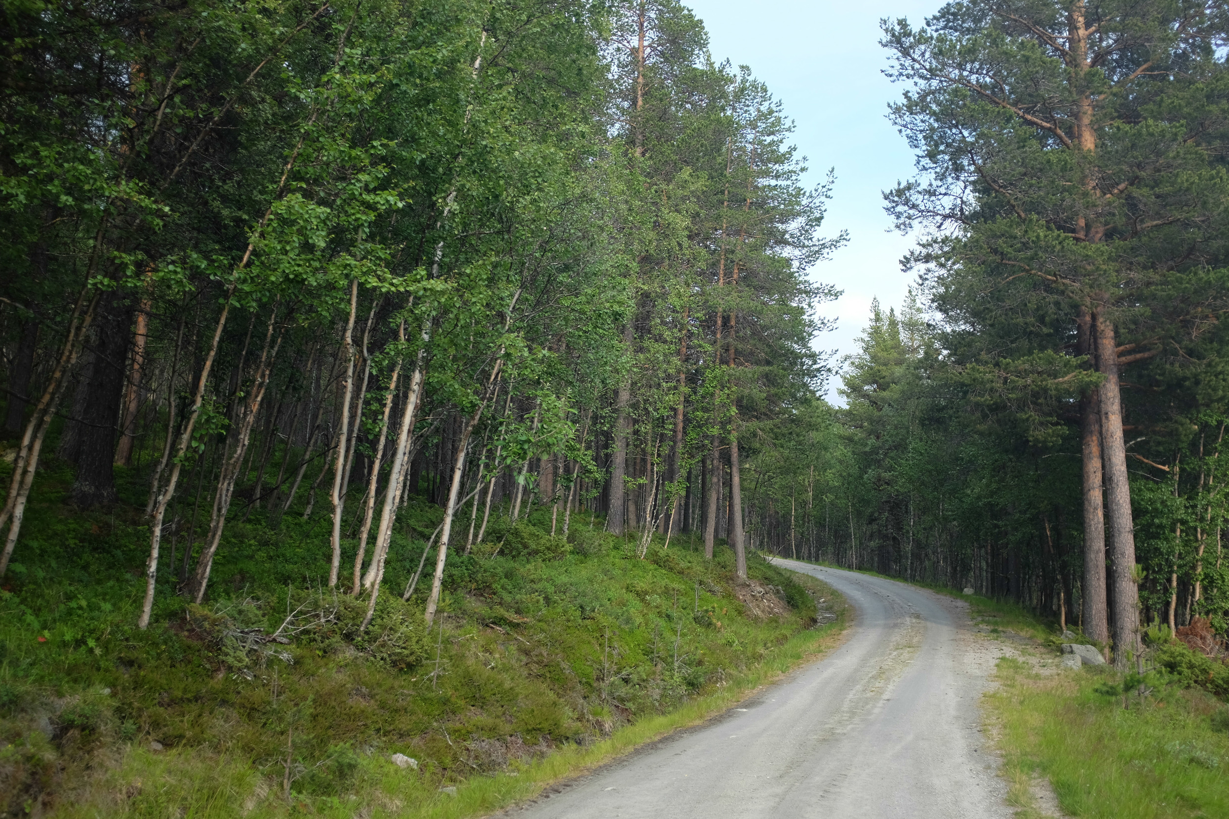 Hills and Dirt on the menu for the day