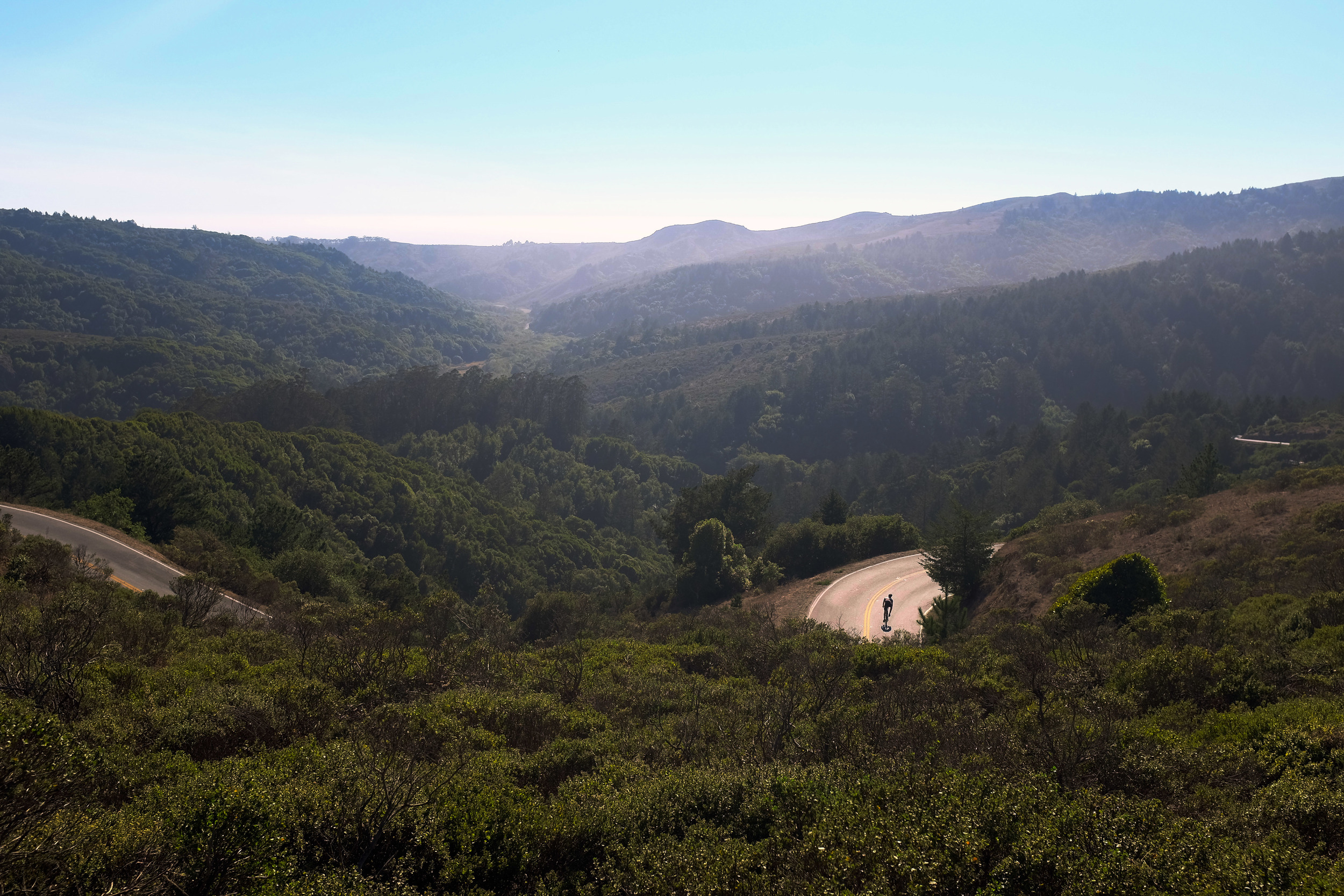 Muir Woods