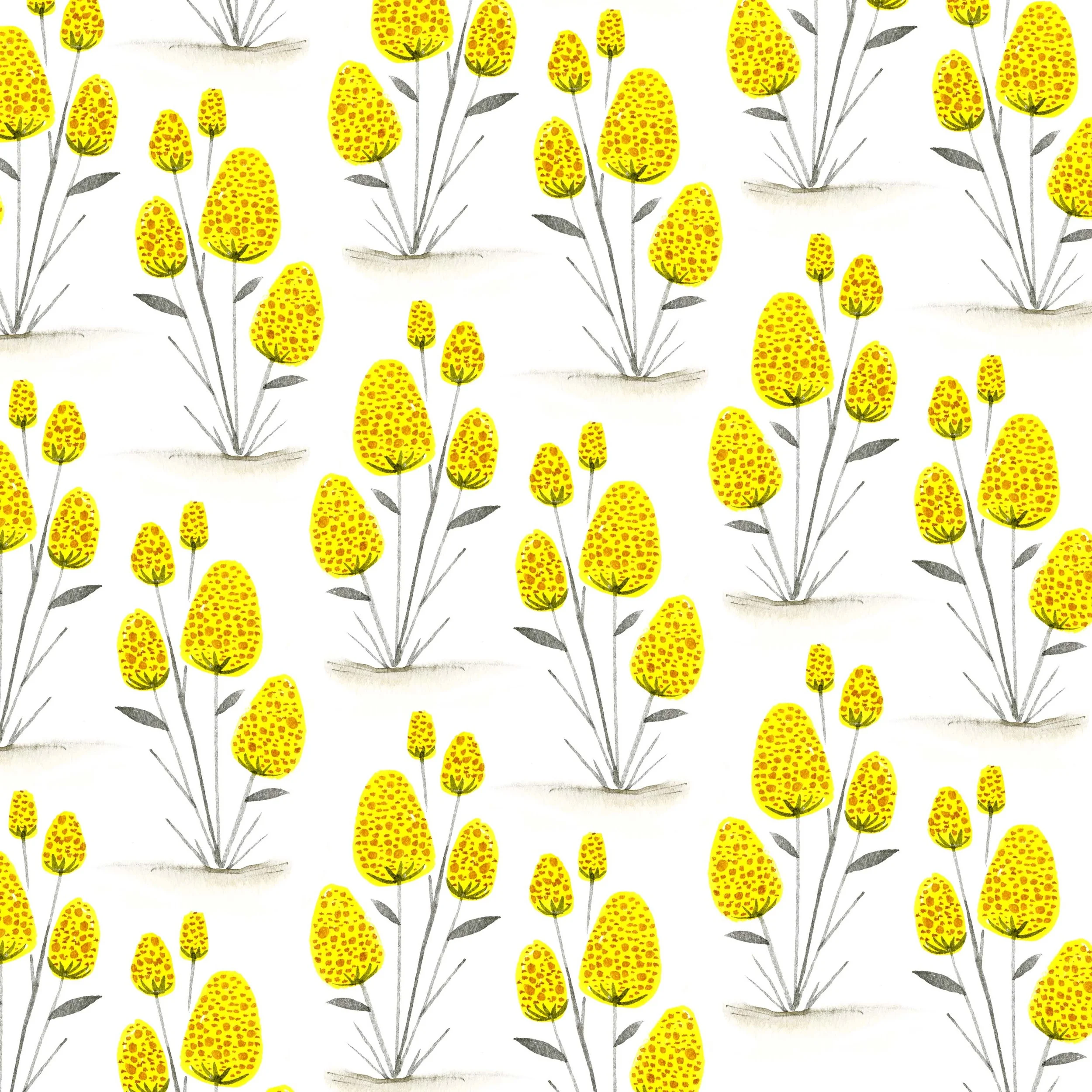 yellow_coneflower_001.jpg