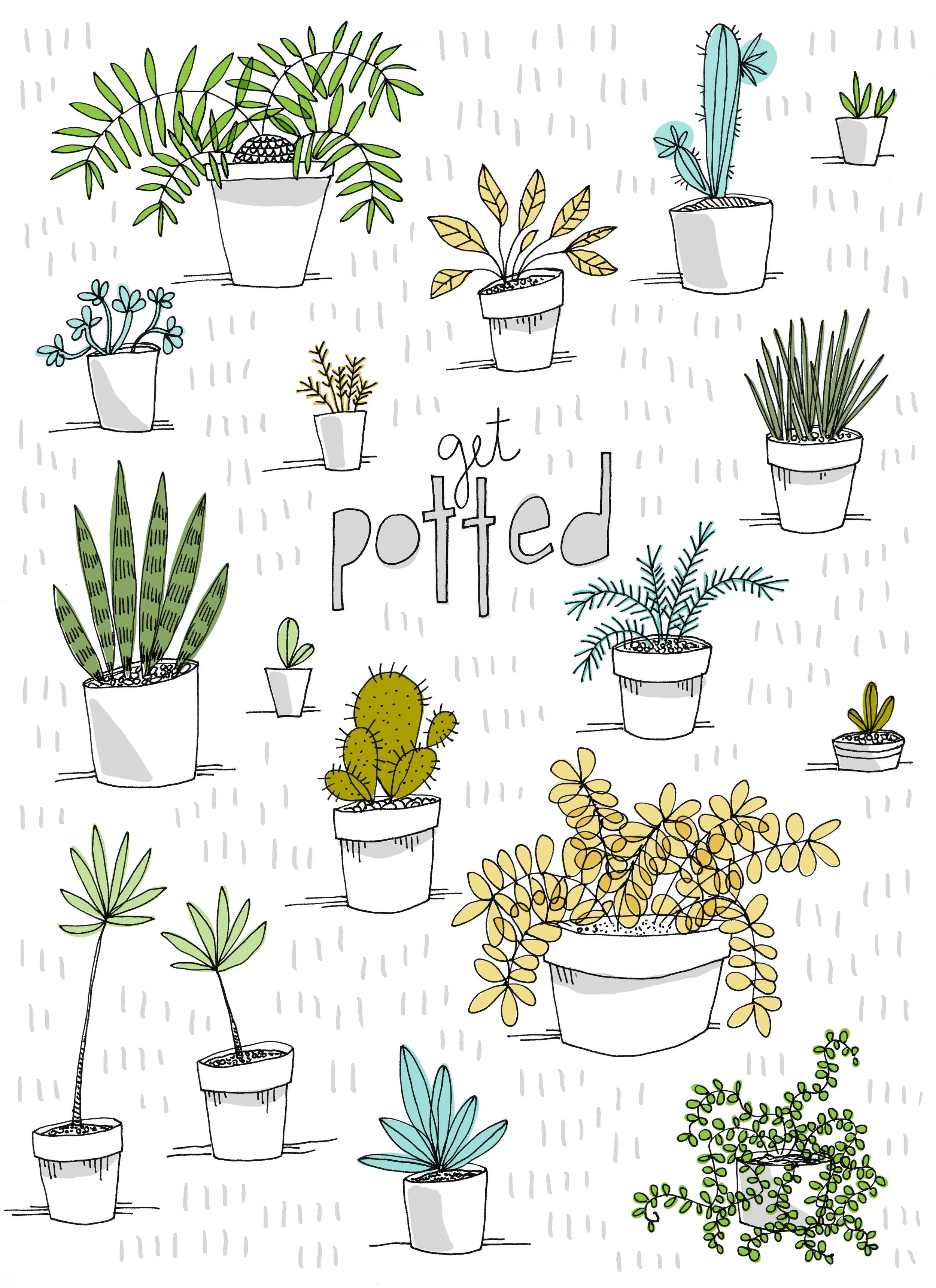 getpotted.jpg
