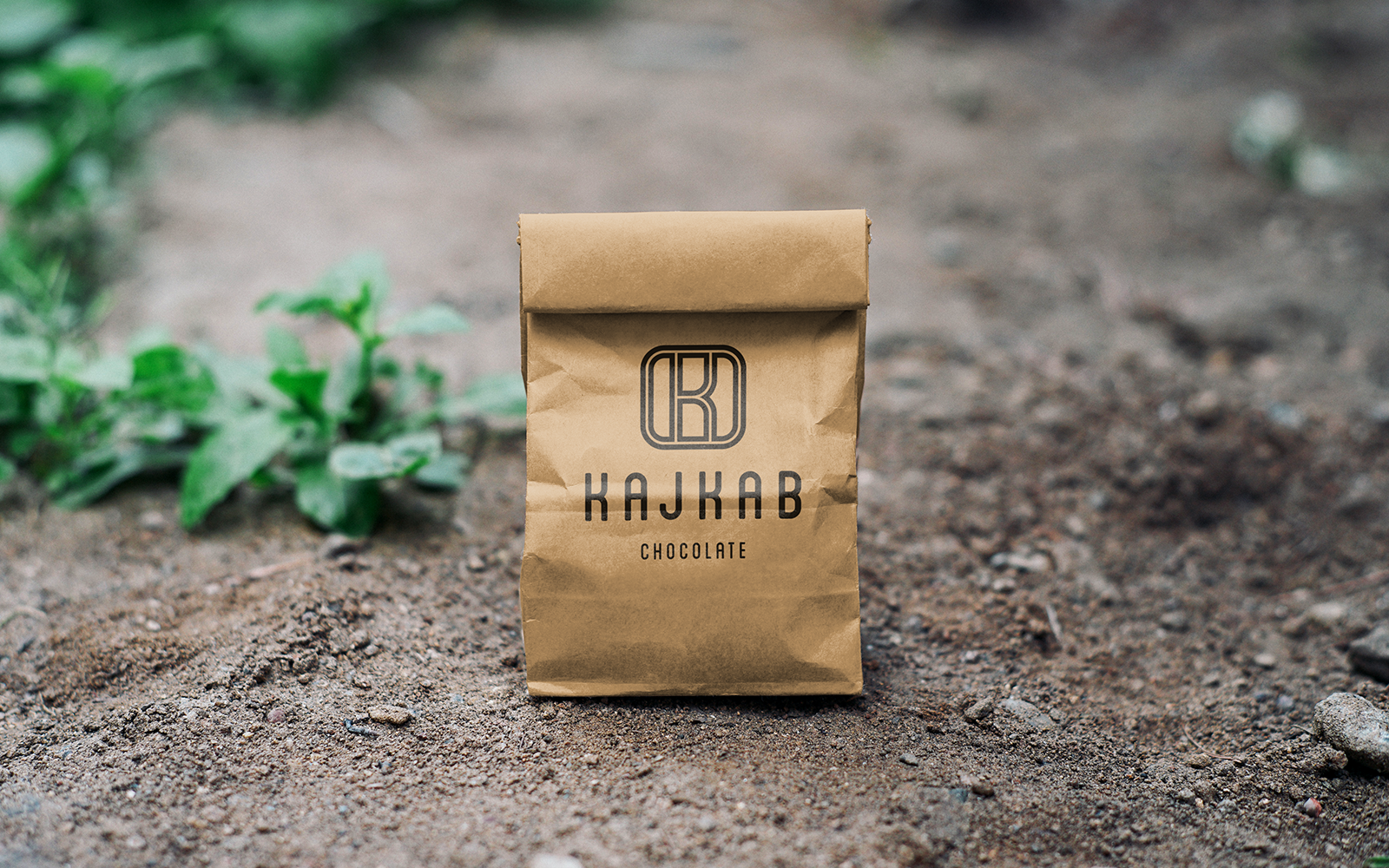 Kajkab-Kraft-Paper-Bag-Mockup.png