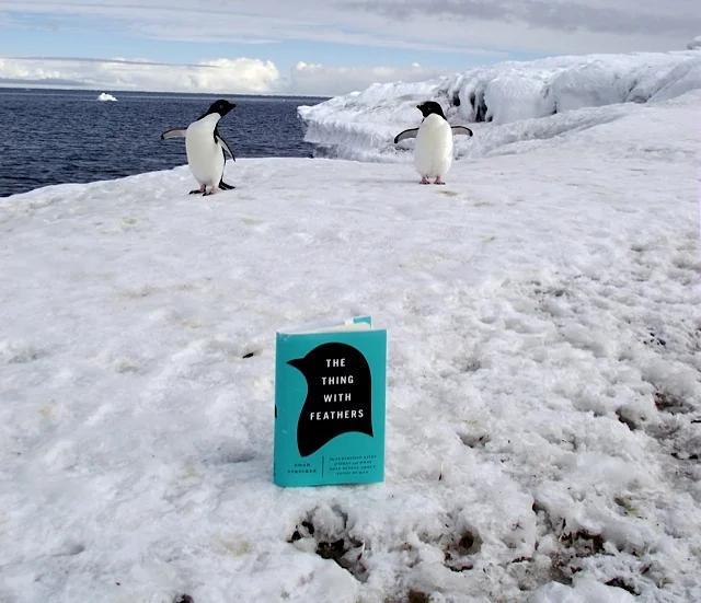 the thing with feathers and penguins 1.jpg.jpeg