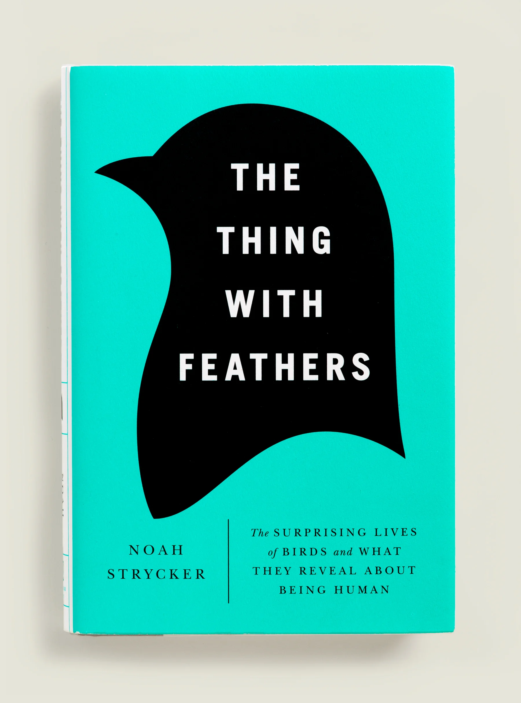 JanetHansen_Thumbnail_Feathers8.jpg