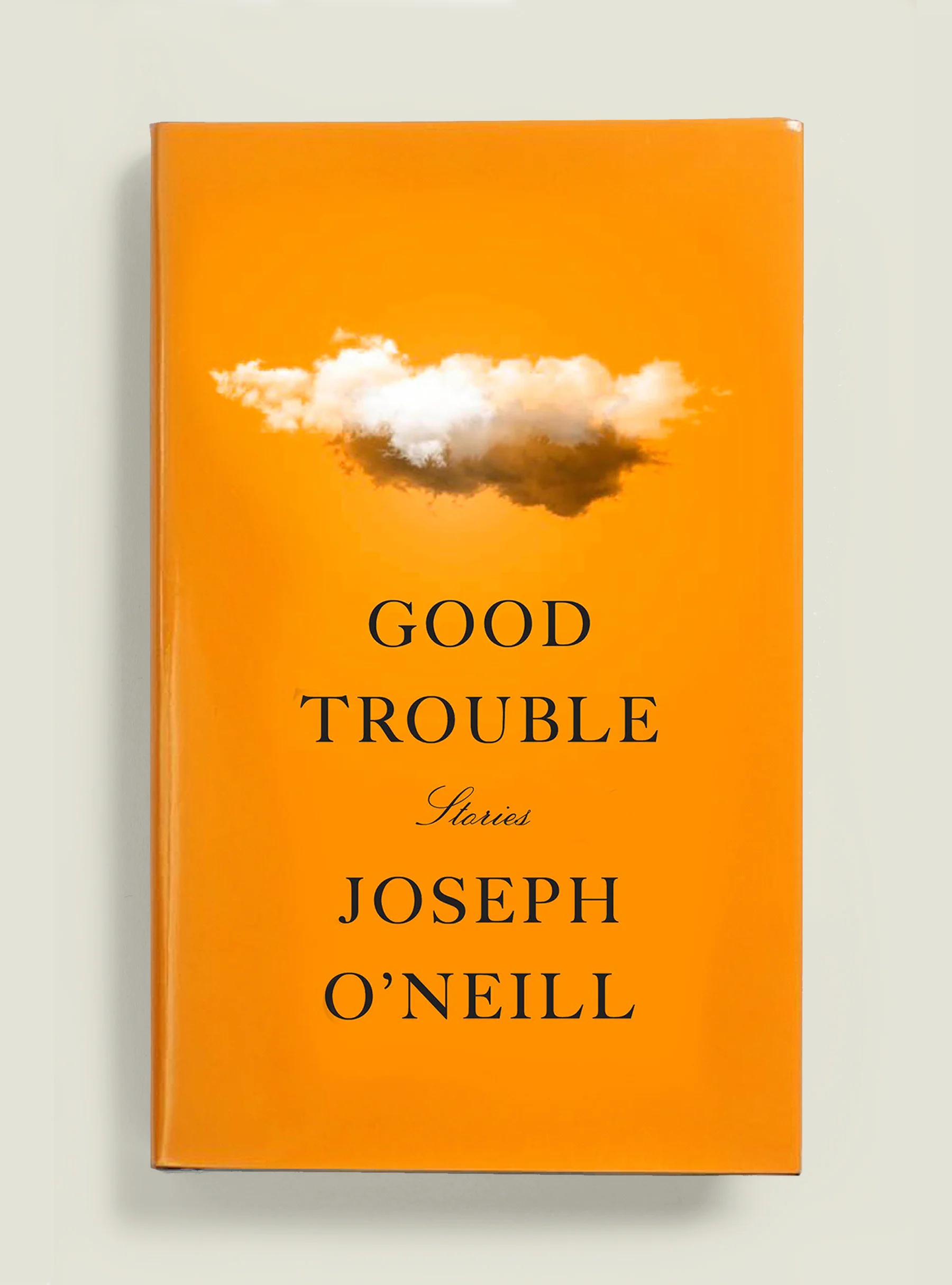 JanetHansen_GoodTrouble.jpg