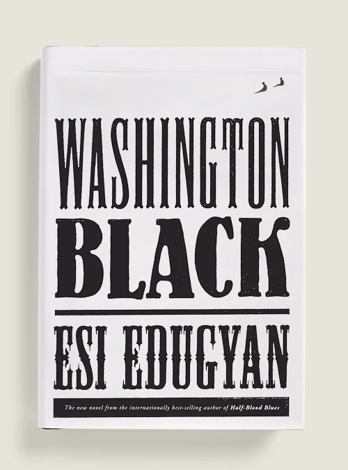 JanetHansen_WashBlack.jpg