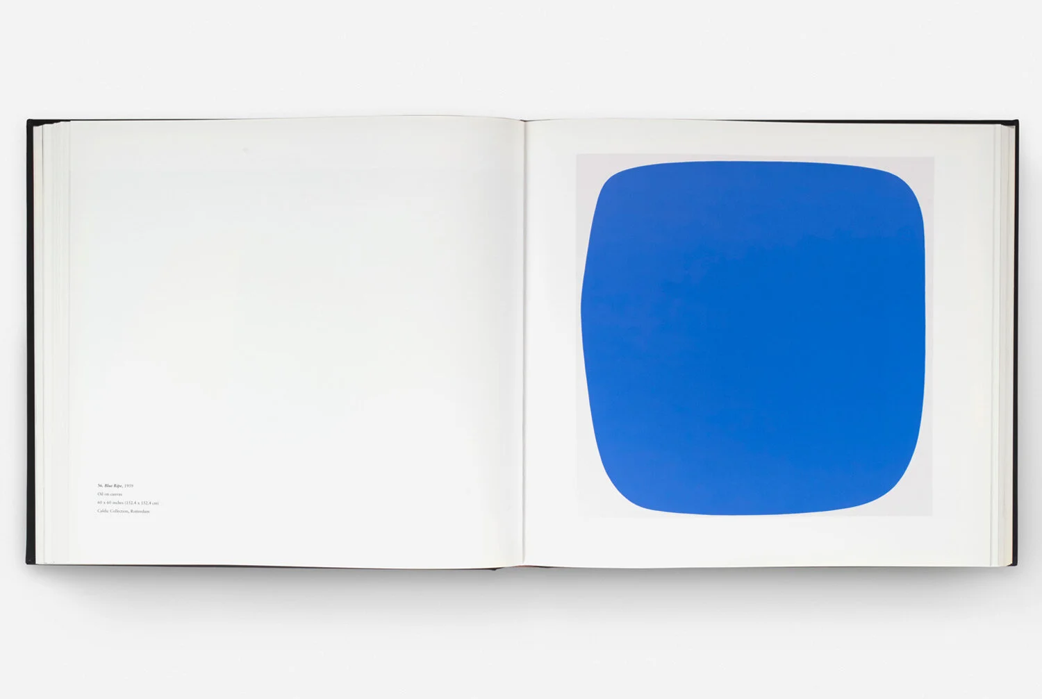 EllsworthKelly_121815_04.jpg