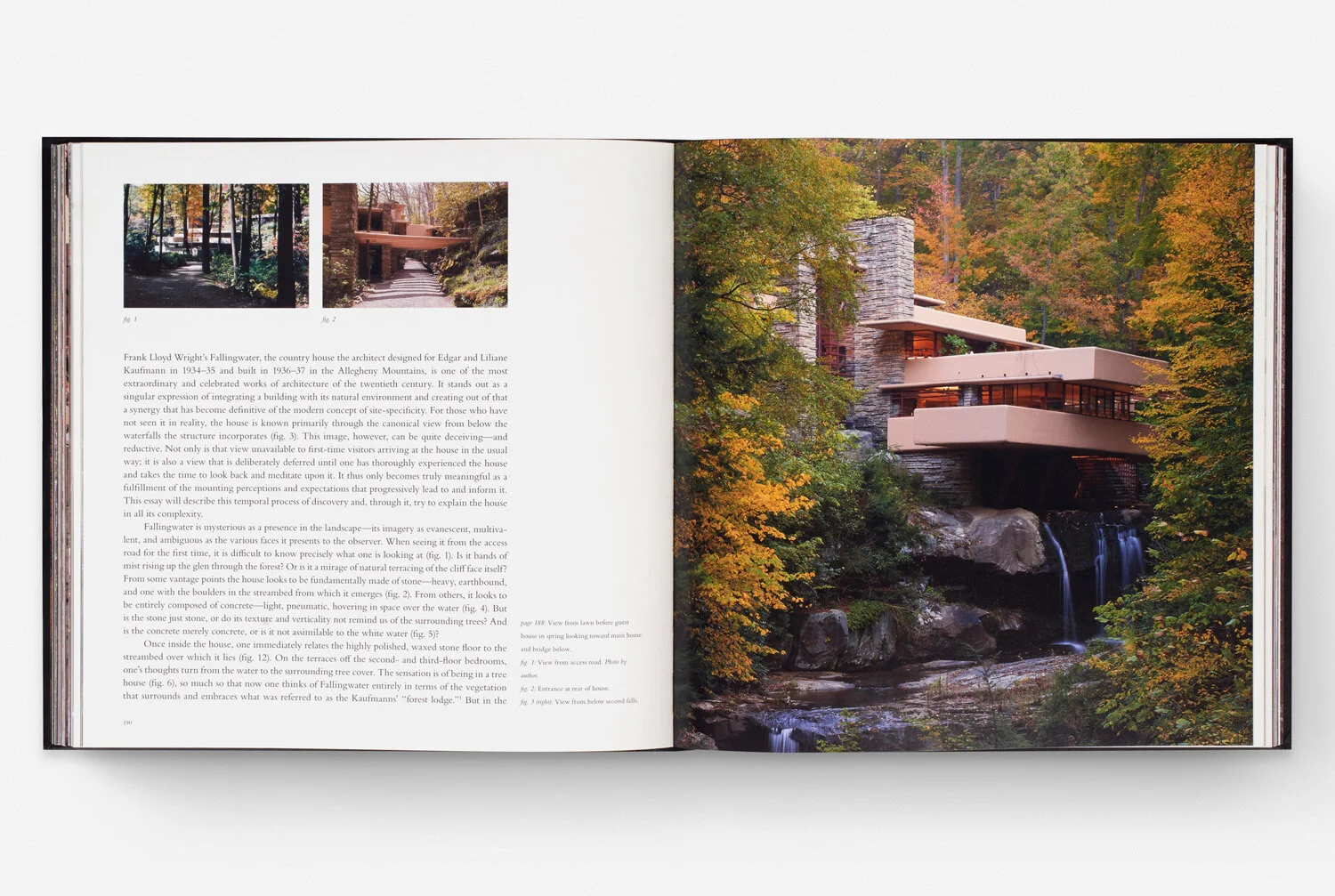 FallingWater_02.jpg