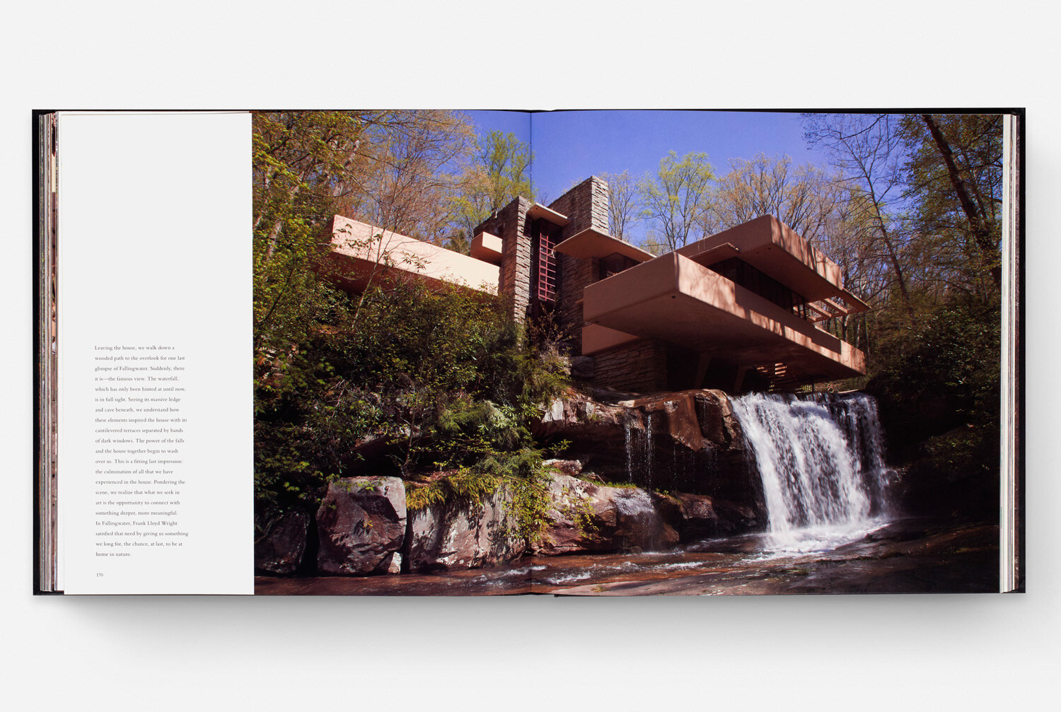 FallingWater_03.jpg