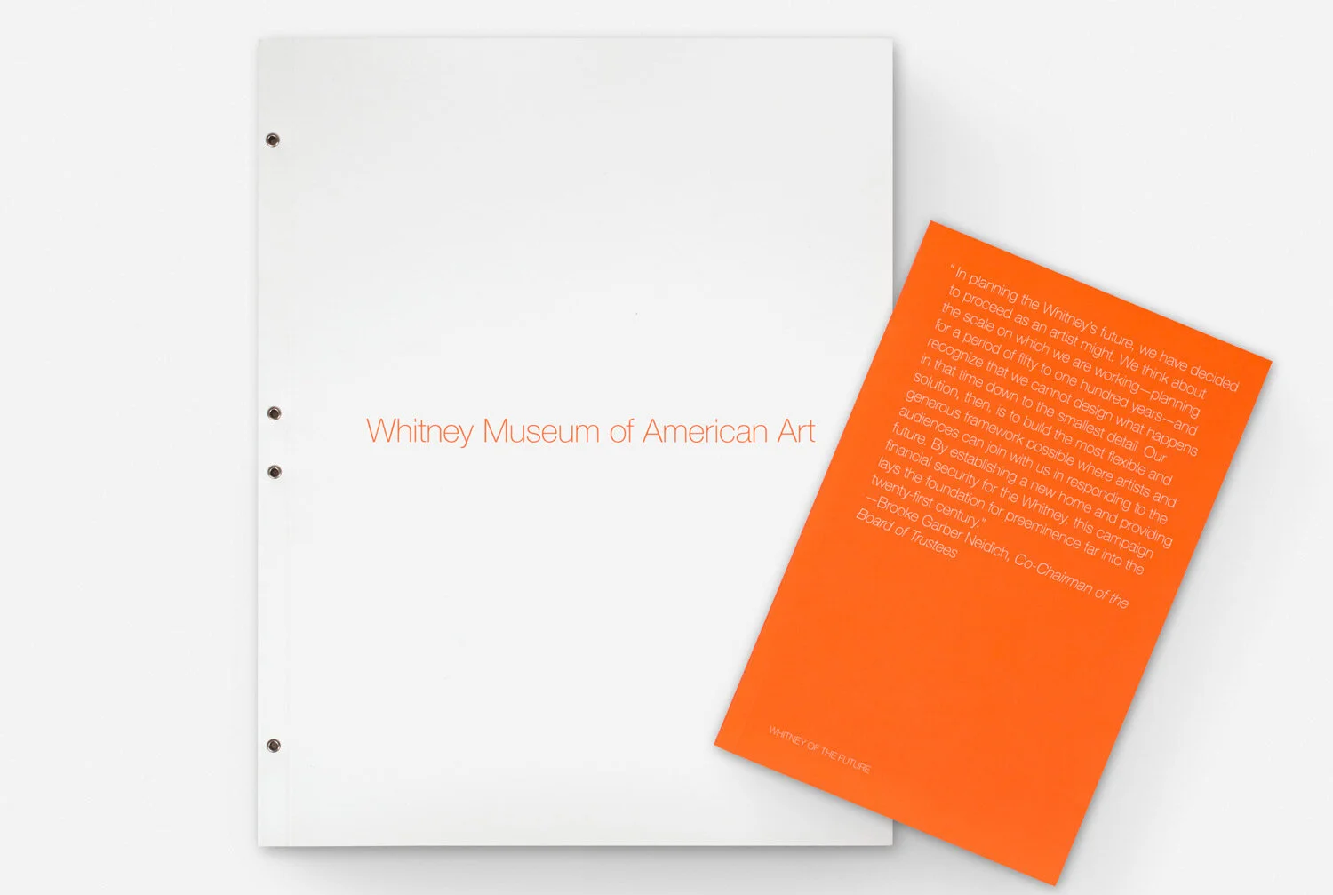 Whitney_Web_01.jpg