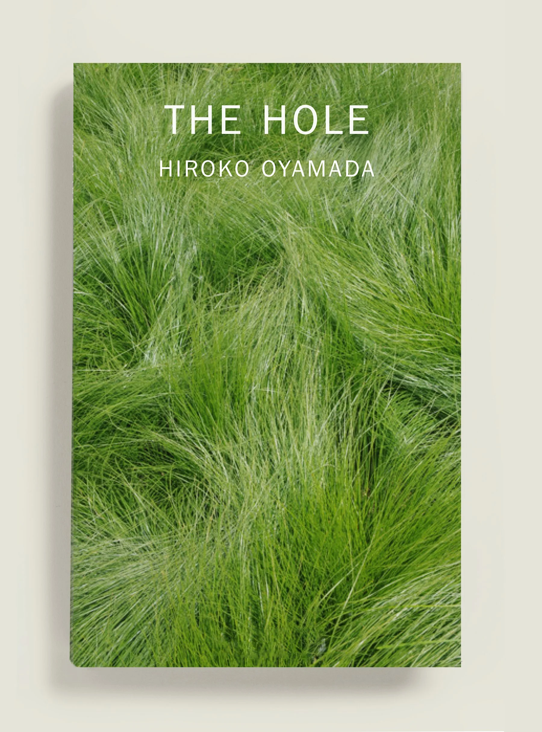 THEHOLE.jpg