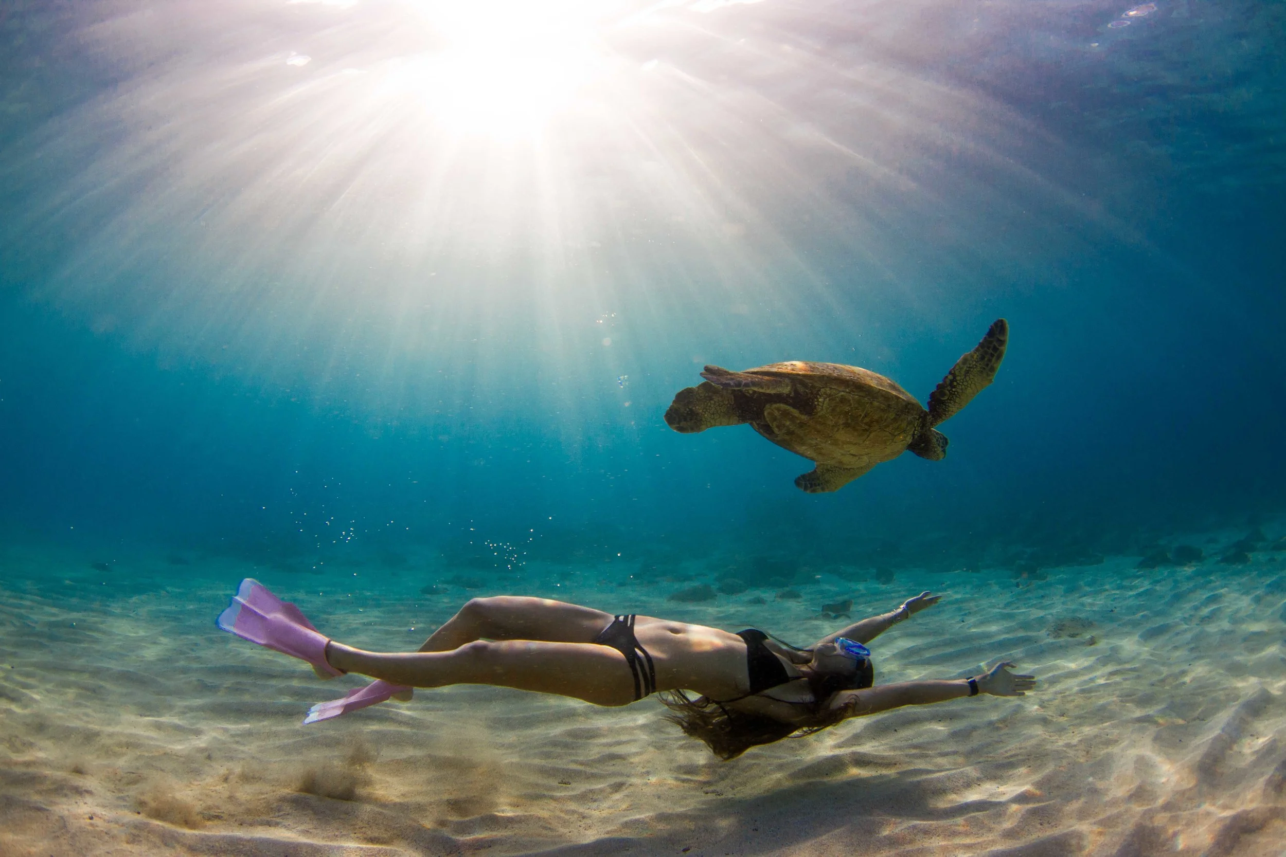 New Friends creatures fascinated with you BOOK TODAY