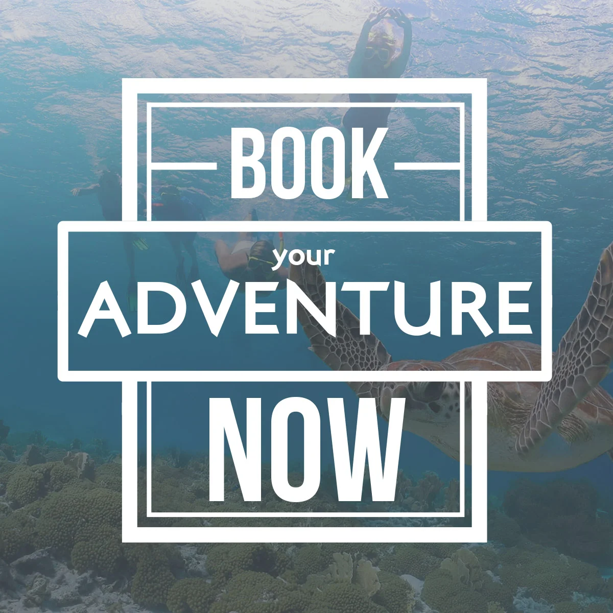 Contact — Blue Ocean Adventure Tours