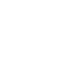 white-visa-256.png