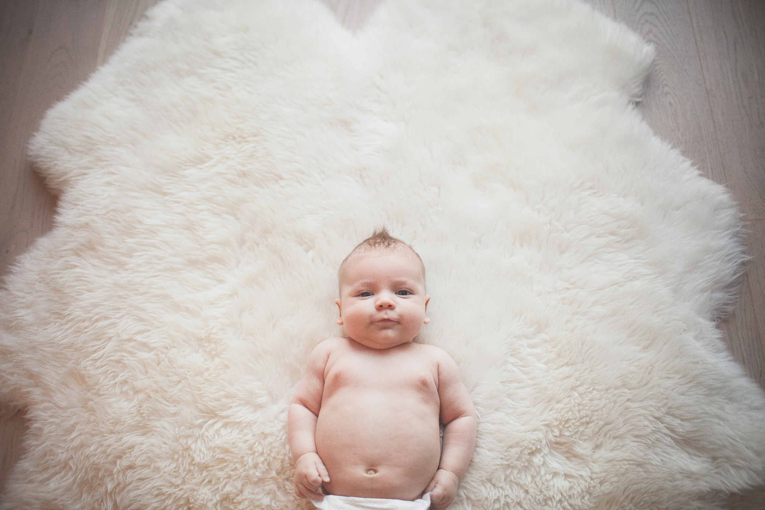 canello (1 of 1)-2.jpg