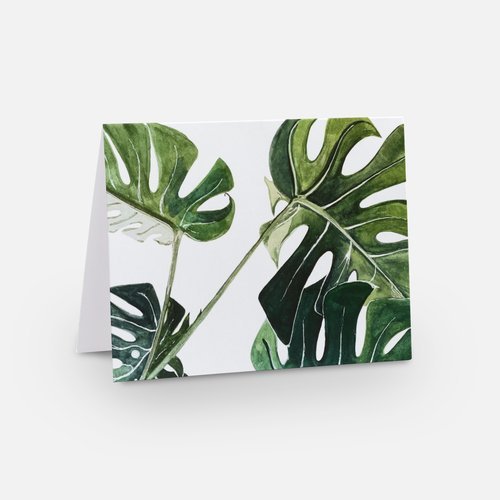 Monstera Card (front).jpeg