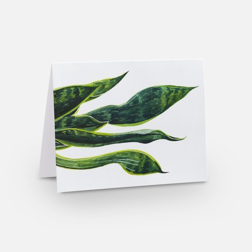 Snake Plant Card (front).jpeg