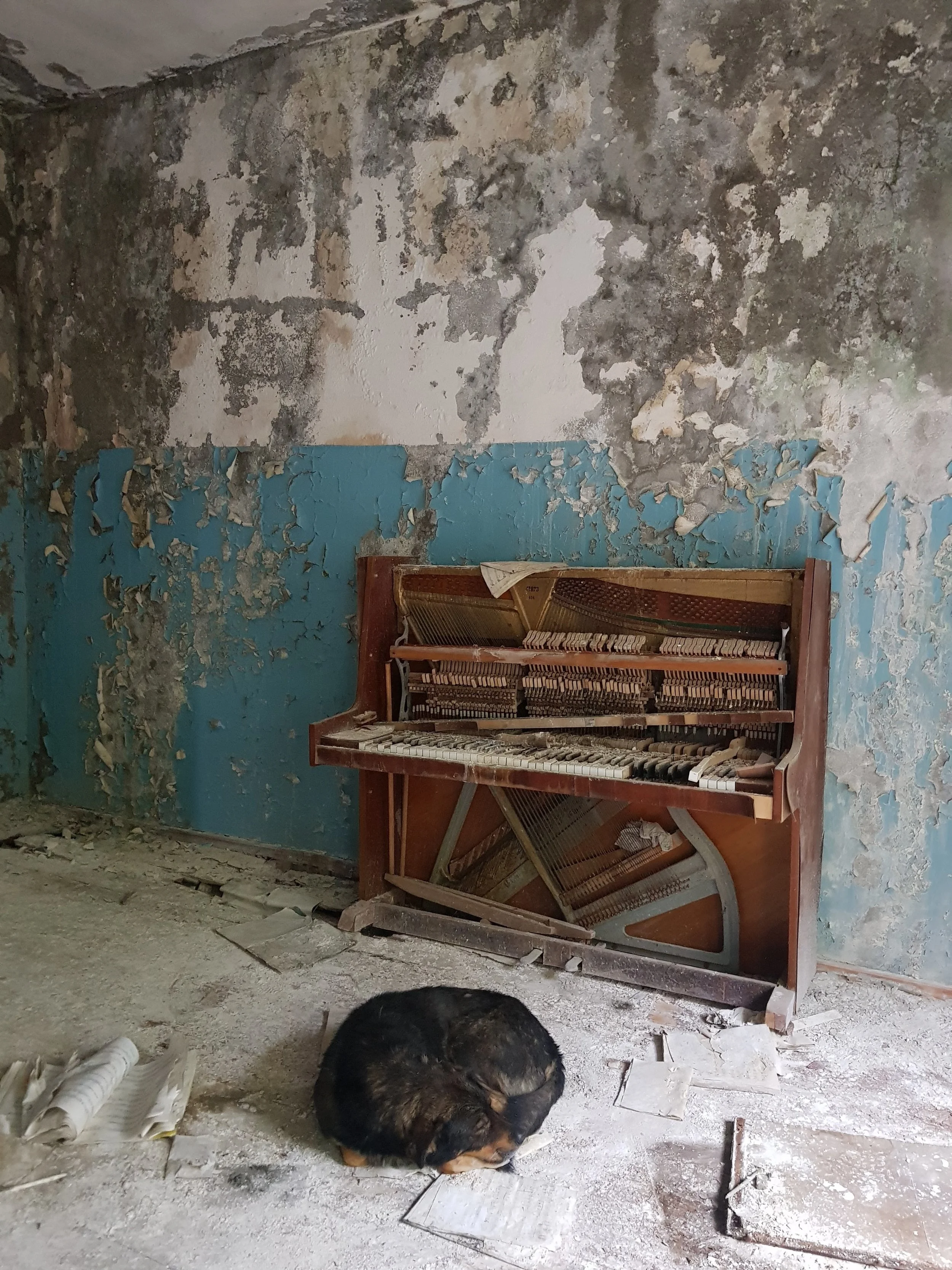 Jimmy ruins my photo of the old piano...