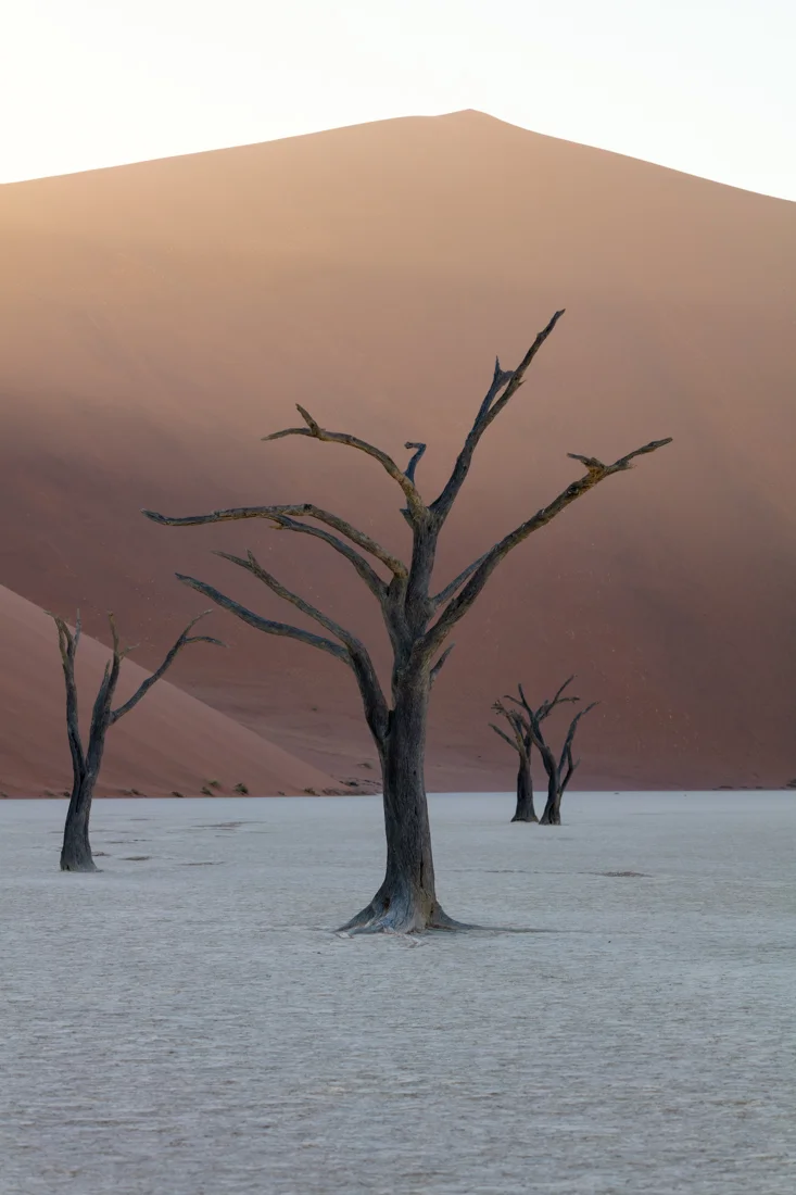 Early Morning Light | Deadvlei