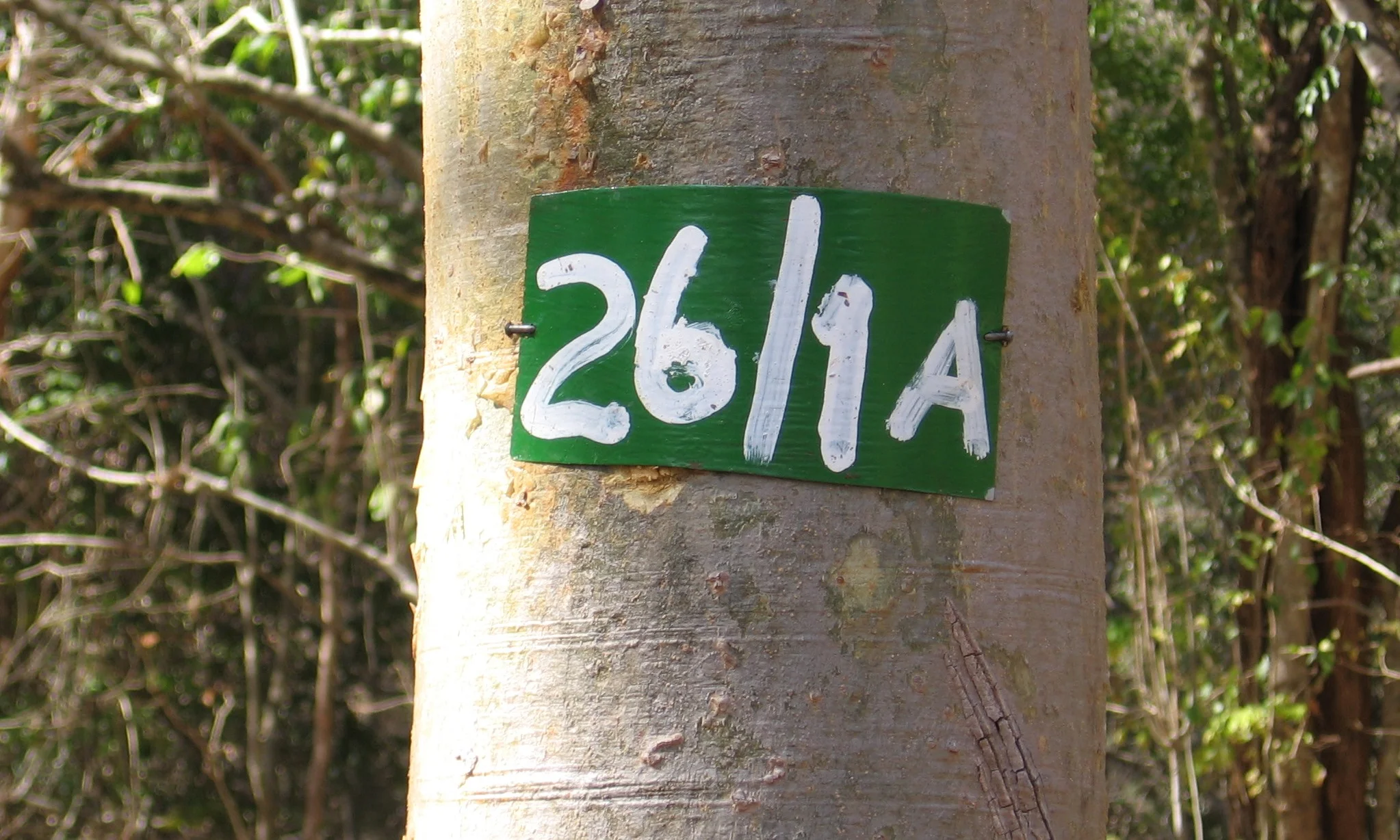 Sinal indicativo de Catapu na estrada, o planeamento da extracção e infraestruturas rodoviárias são essências para a gestão do som - Catapu road sign, planning of the extraction and road infrastructure is essential to sound management.