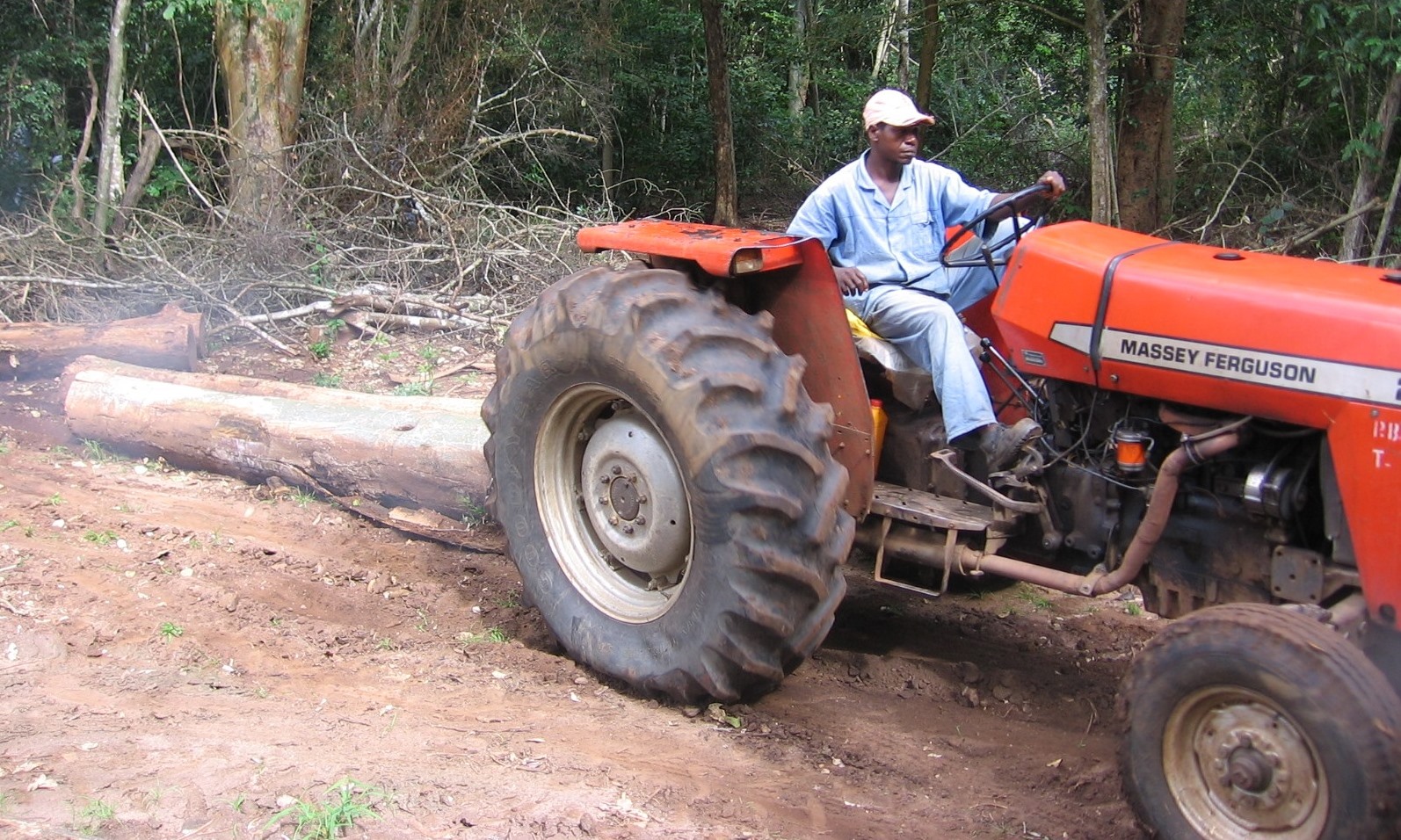 Extracção com máquinas agrícolas de pequenas dimensões para minimizar o impacto - Extraction using small agricultural tractors to minimise impact