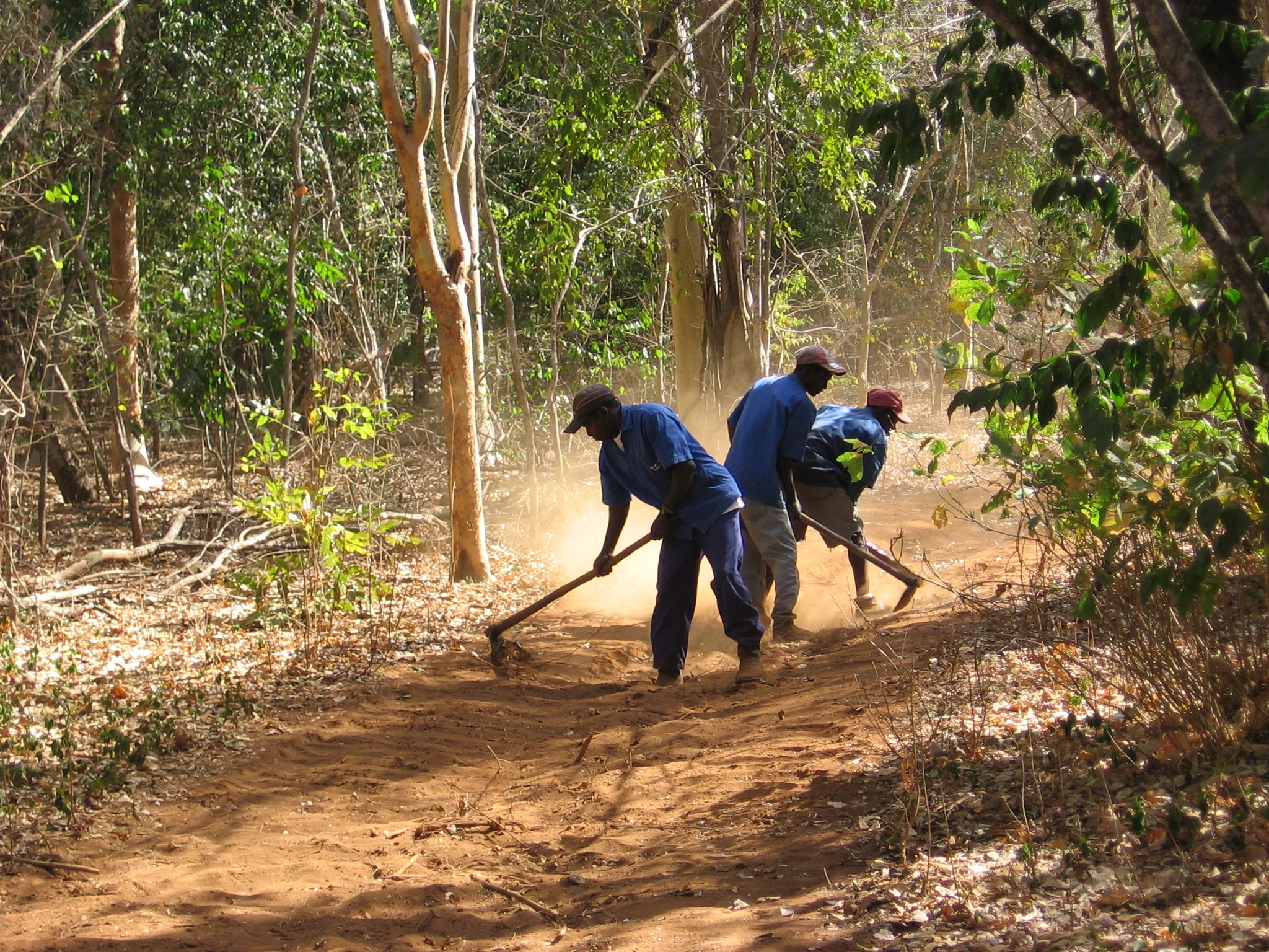 Todas os caminhos de extração são reparados de forma manu al - All extraction tracks are repaired either manually 