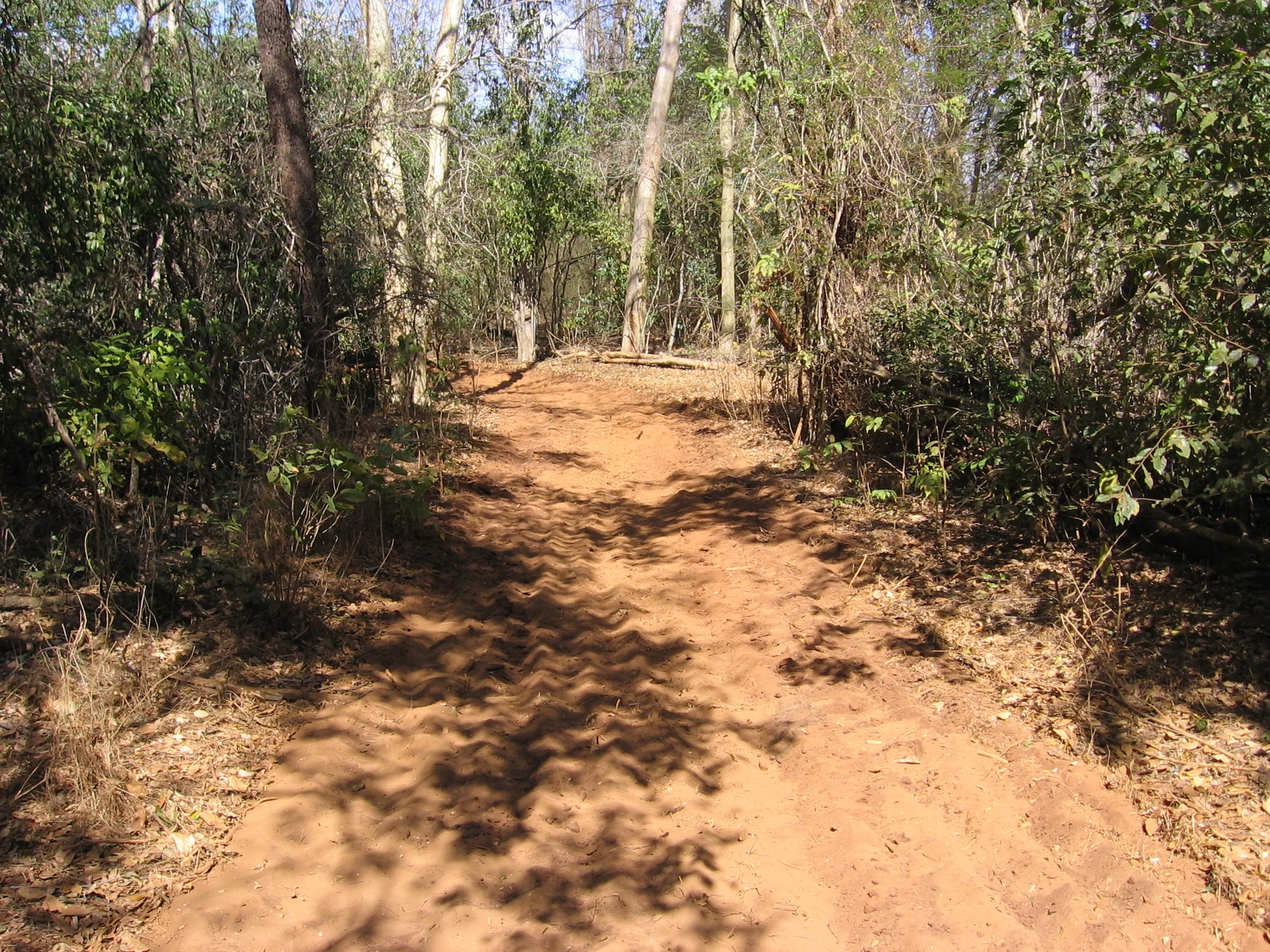 Preparação da área - Preparing the area 
