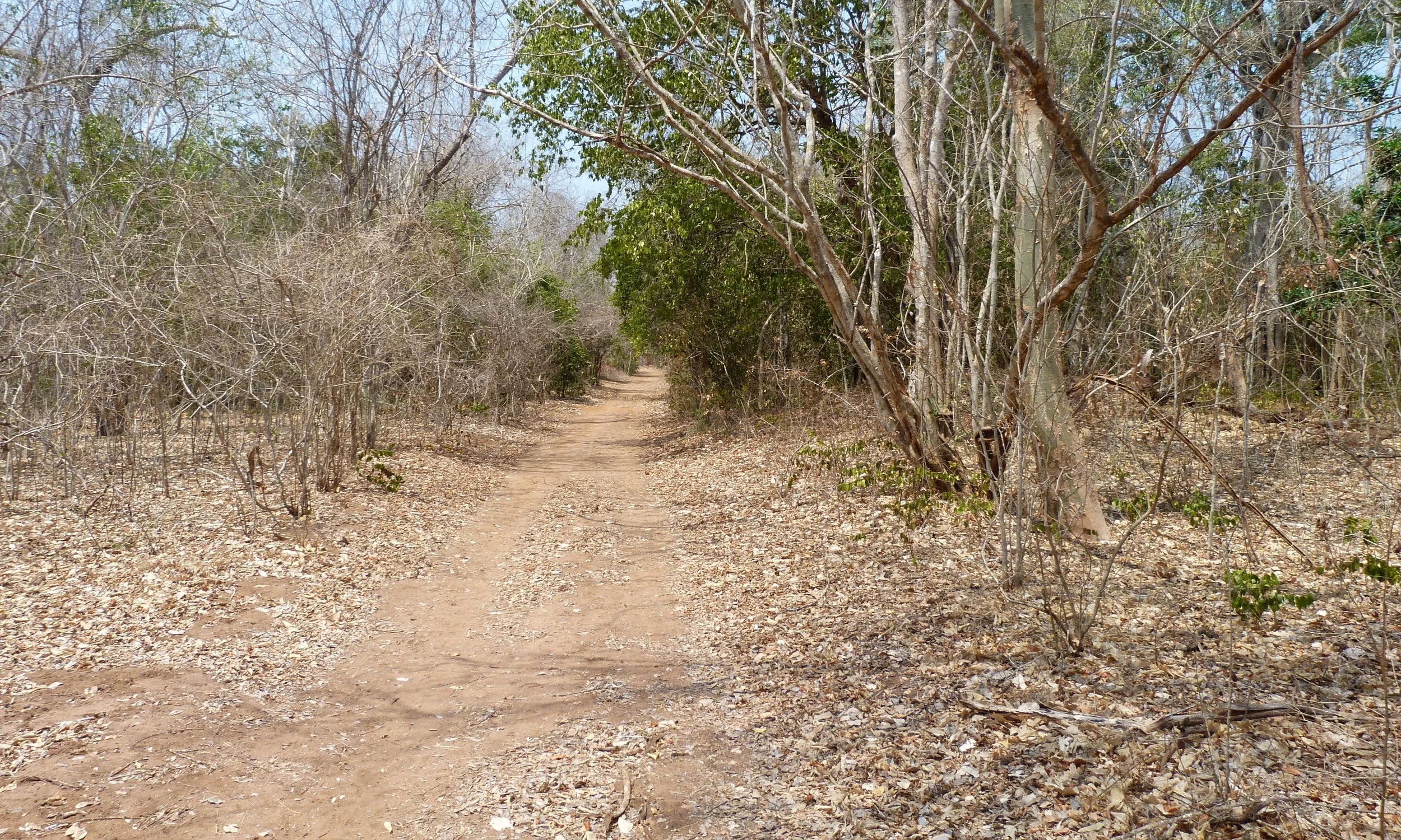 1 - P1010572.JPG