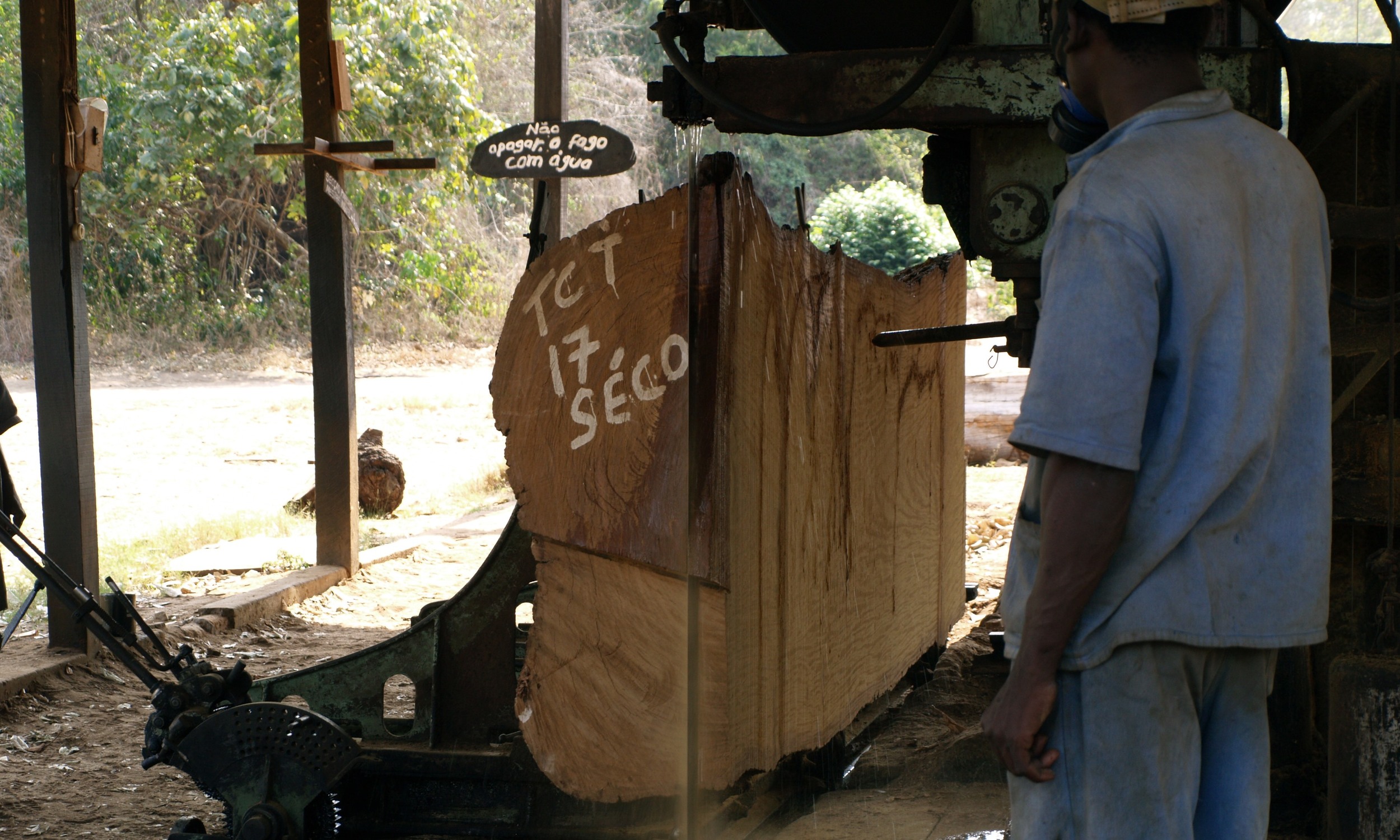 Corte de troncos antigos e abandonados - Cutting of old abandoned logs