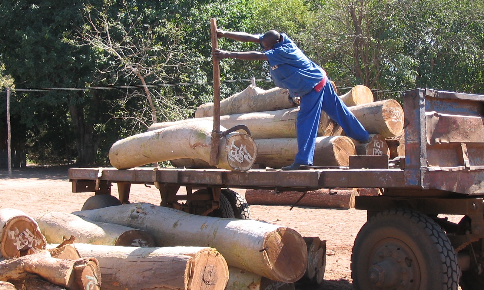 Descarregamento na serração - Offloading at the sawmill