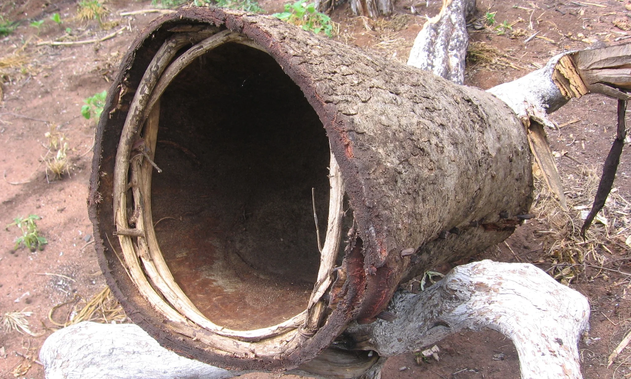 Ao ensinar o uso de colmeias HTB, a prevenção sobre o anelamento de árvores para fazer colmeias tradicionais é desencorajado - By teaching the use of simple HTB Hives, the prevention of ring barking of trees to make tradition hives is encouraged