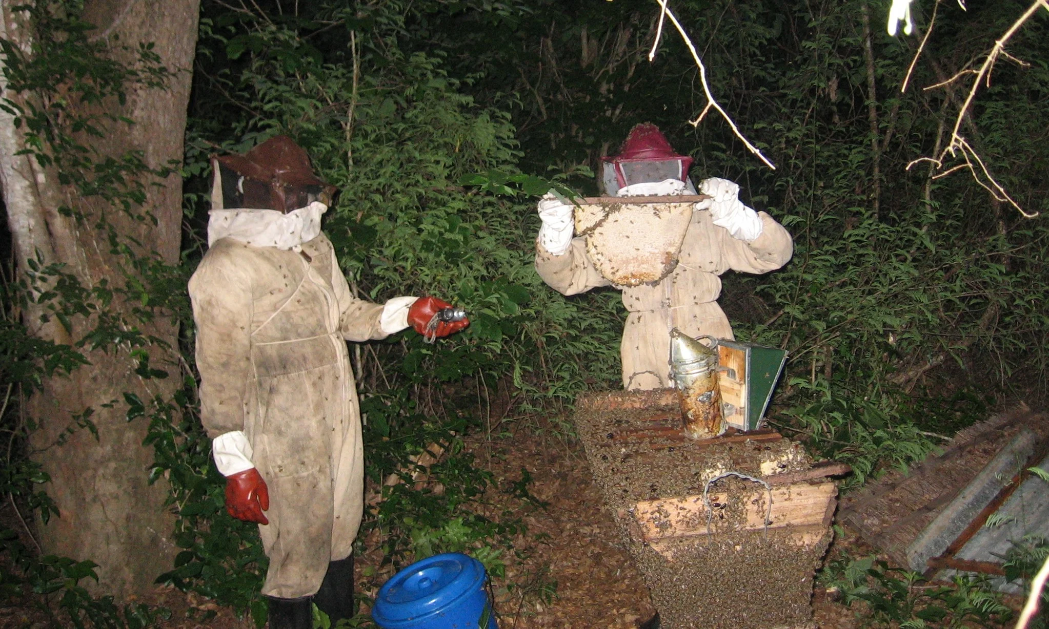 “Mãos à obra” está incluída a extracção de mel - Practical "hands on" honey extraction methods are included 