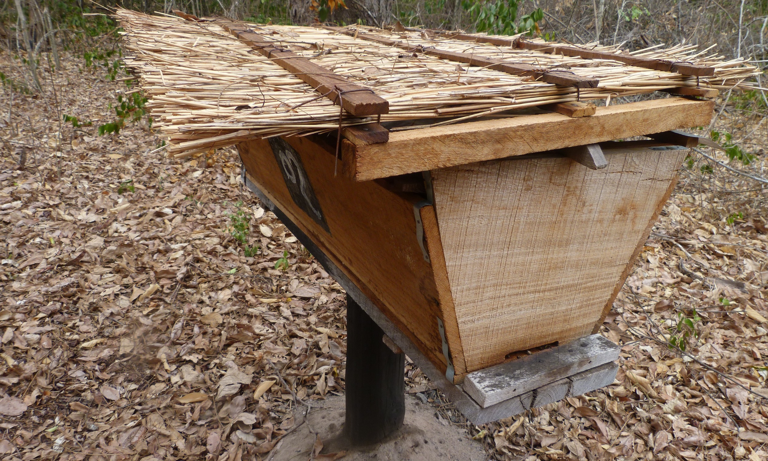 Colmeias - Kenyan top bar hives 