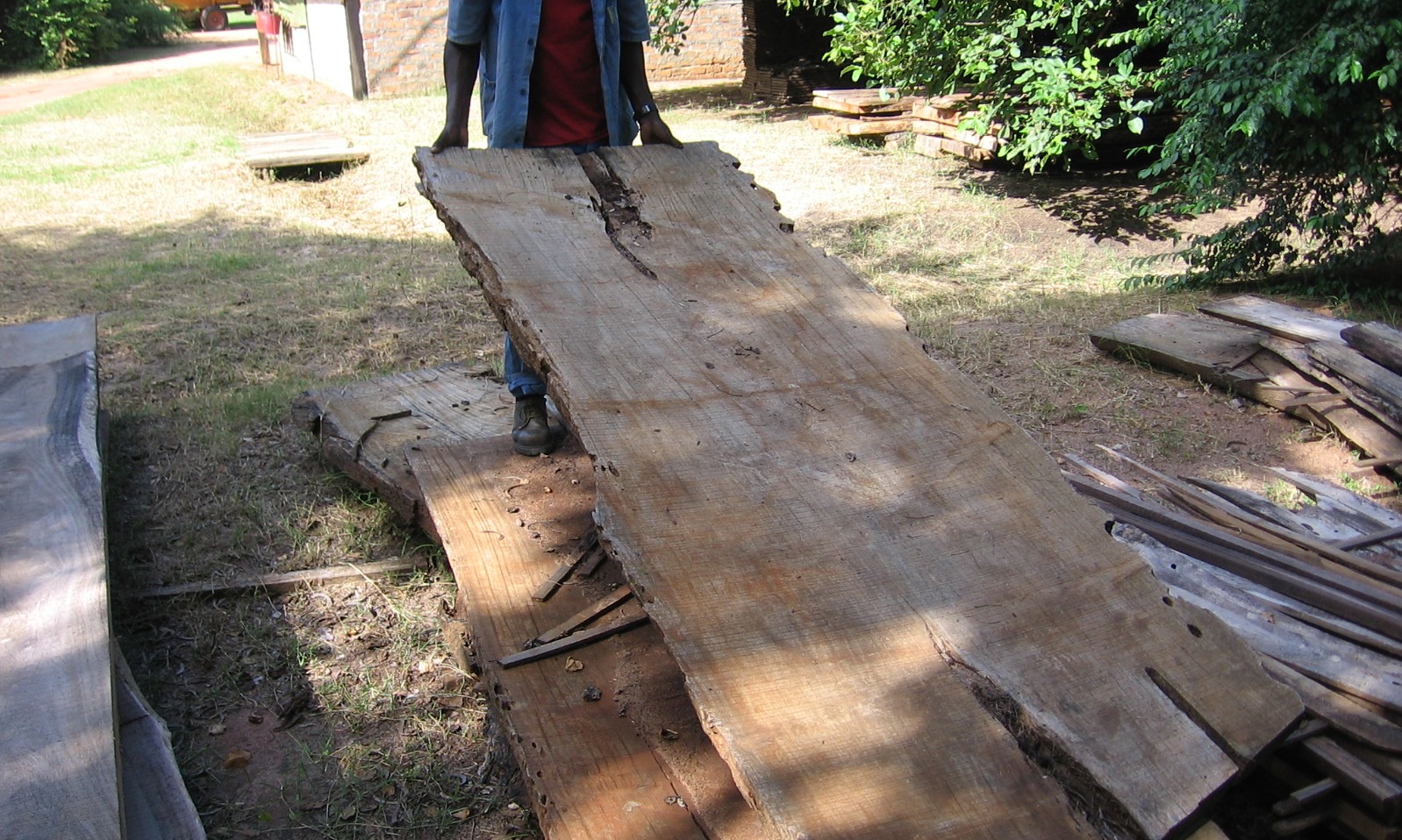 As placas podem ser comercializadas a serração bruta - Slabs can be supplied rough sawn