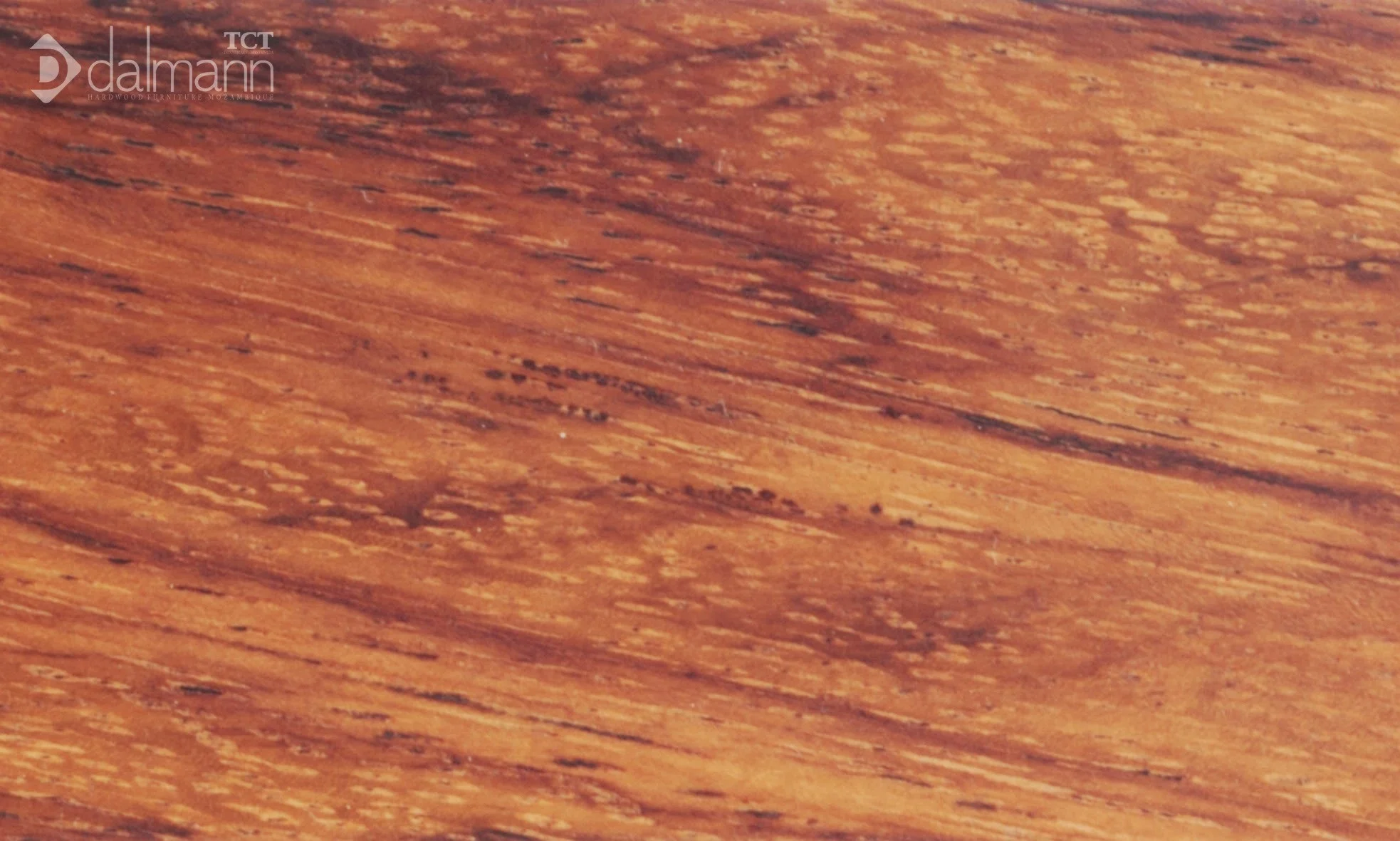 wood sample
