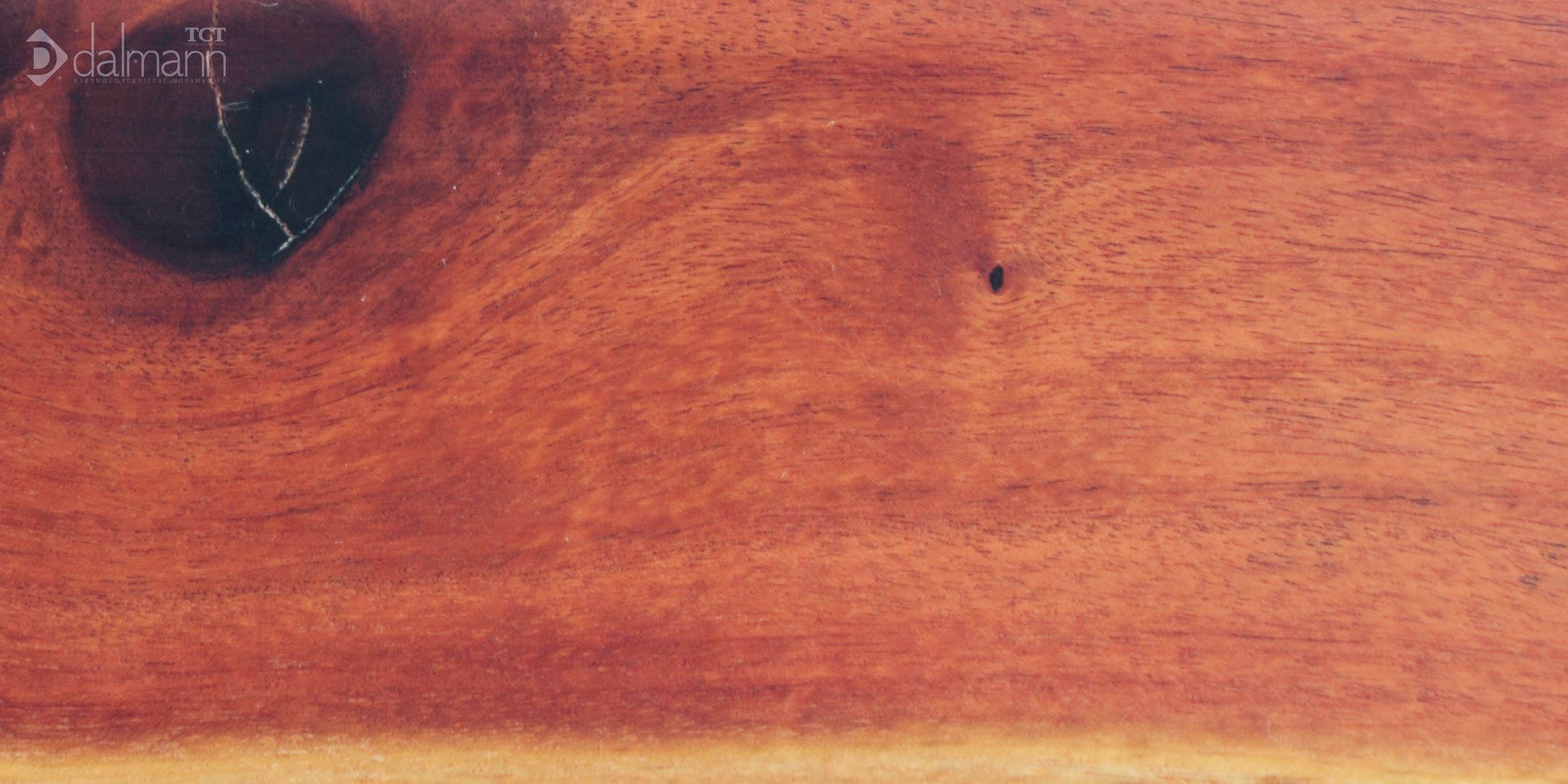 Wood sample