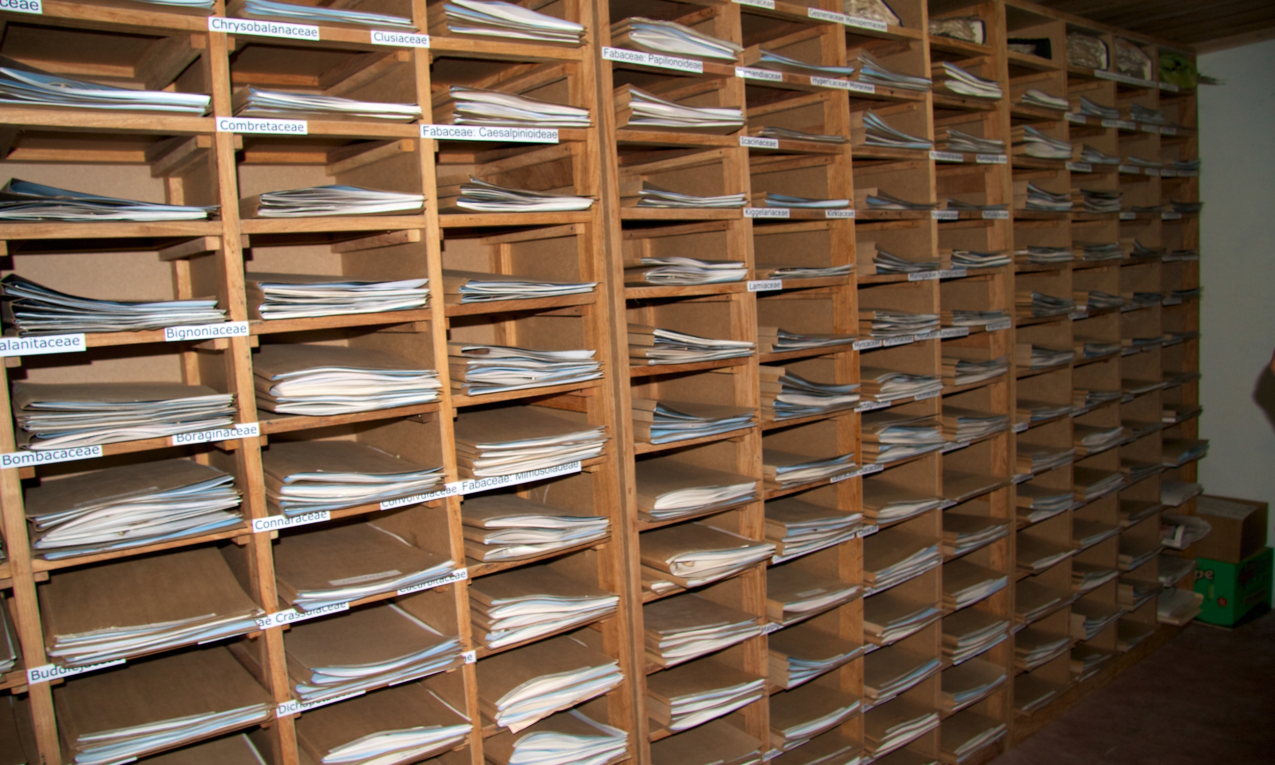 Catapu Herbarium