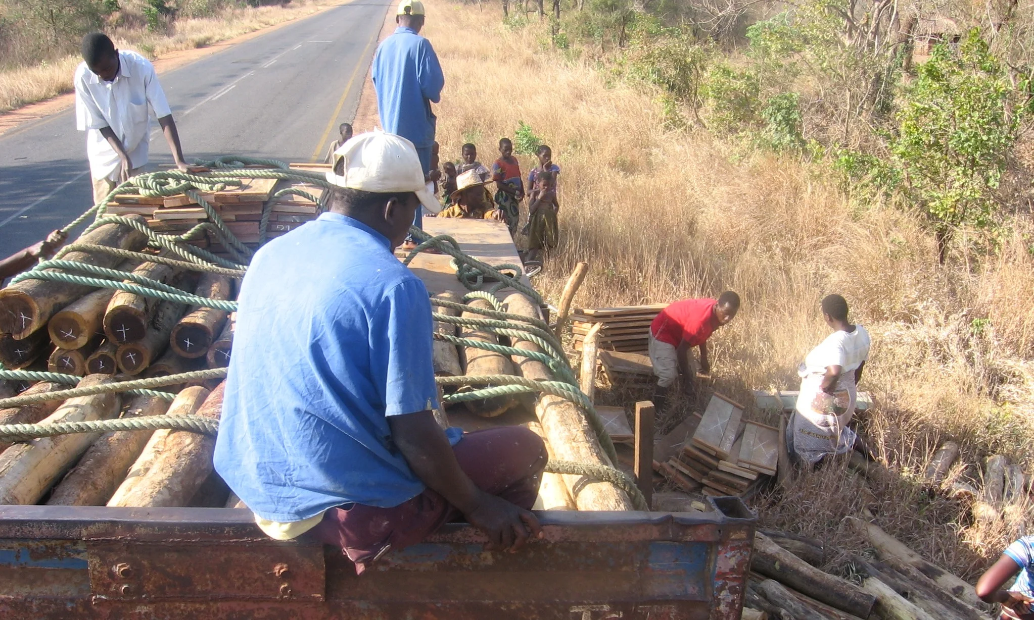 Entrega de colmeias para a comunidade - Delivering hives to the community
