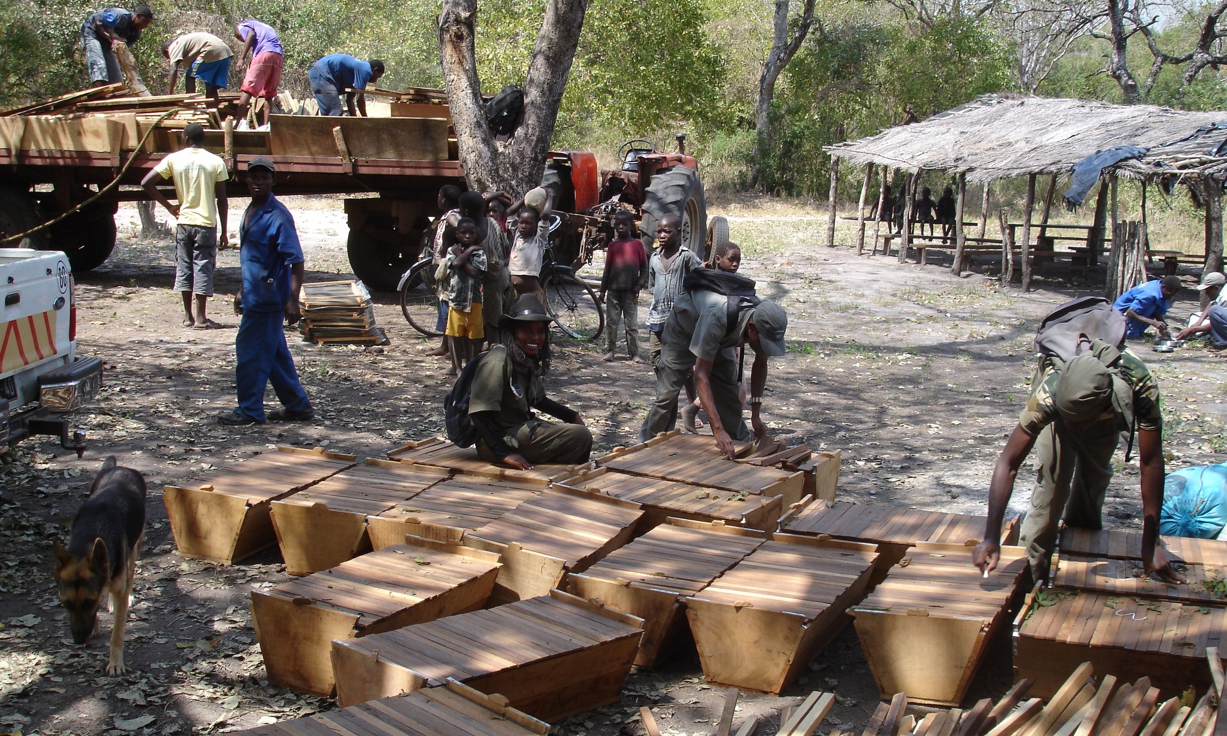 Entrega de colmeias para a comunidade - Delivering hives to the community